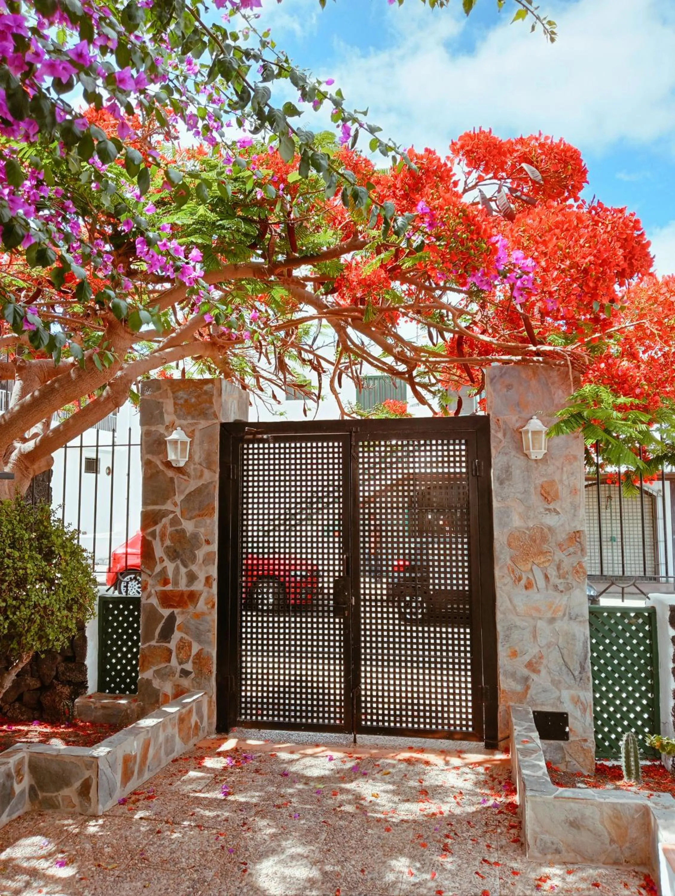 Apartamentos las Acacias