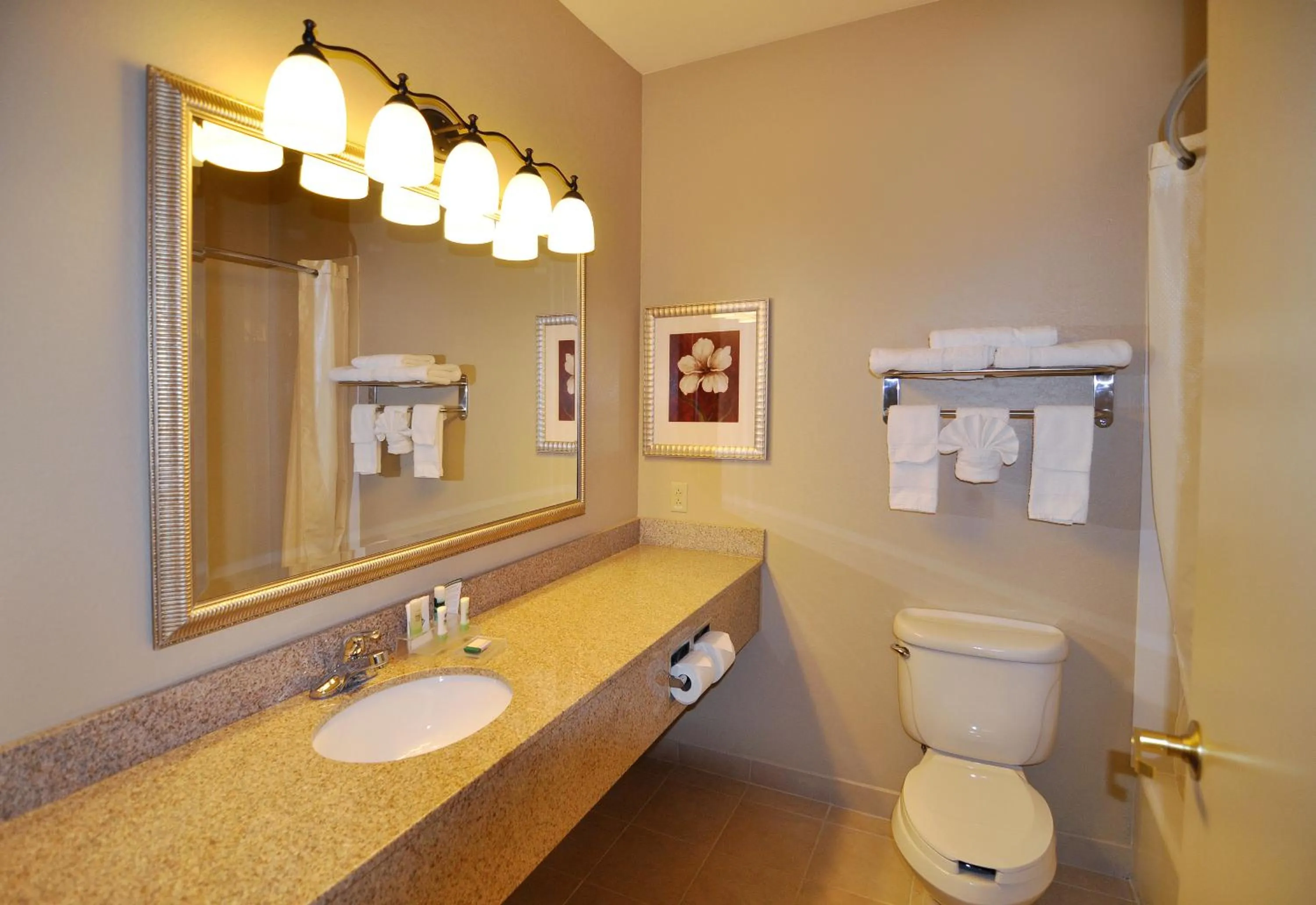Toilet in Country Inn & Suites by Radisson, Conway, AR