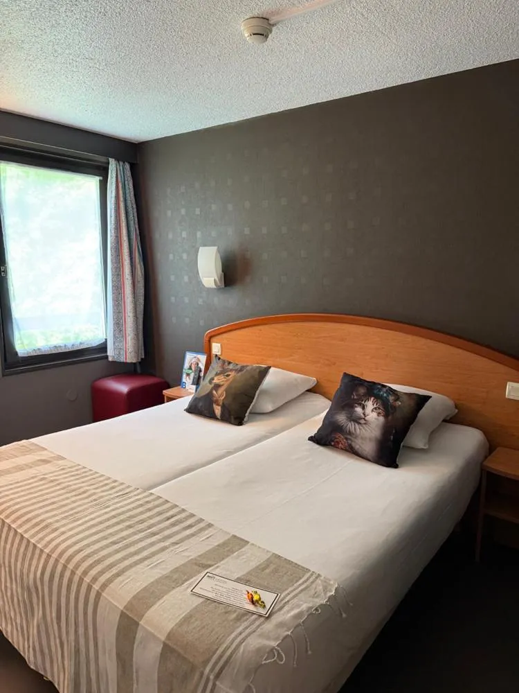 Photo of the whole room, Bed in Brit Hotel Besancon l'Horloge