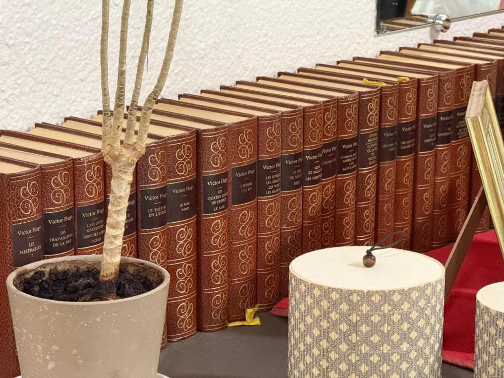 Library in Brit Hotel Besancon l'Horloge