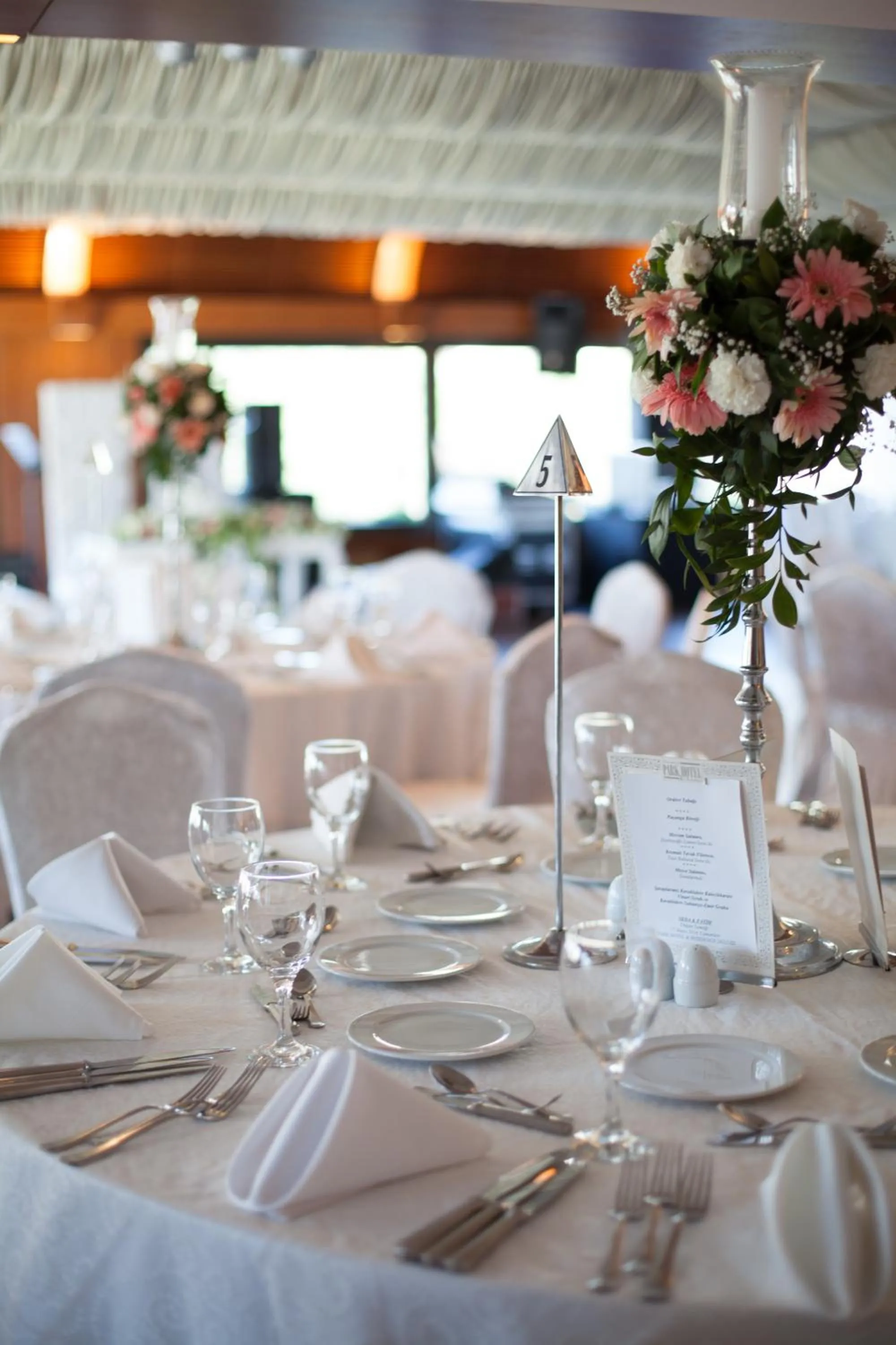 Entertainment in Buyukhanli Park Hotel