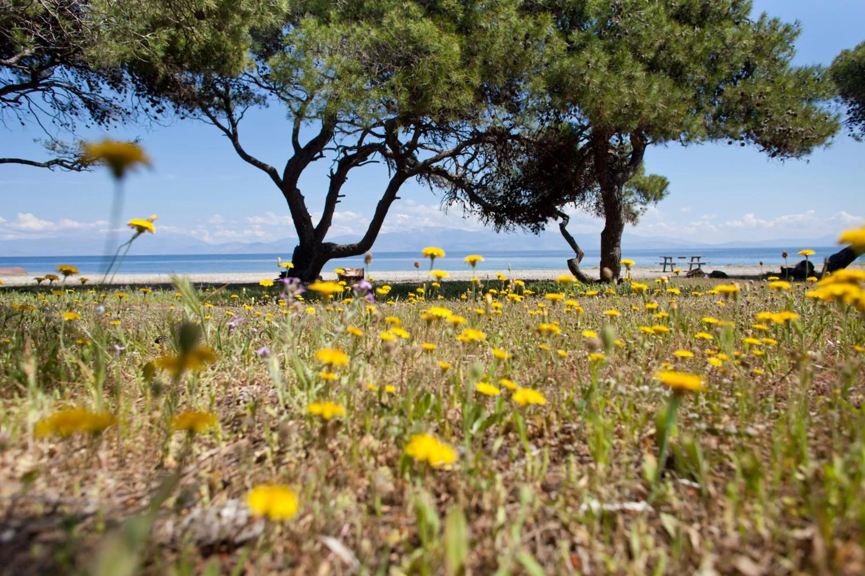 Hiking in Daphne's Club Hotel Apartments