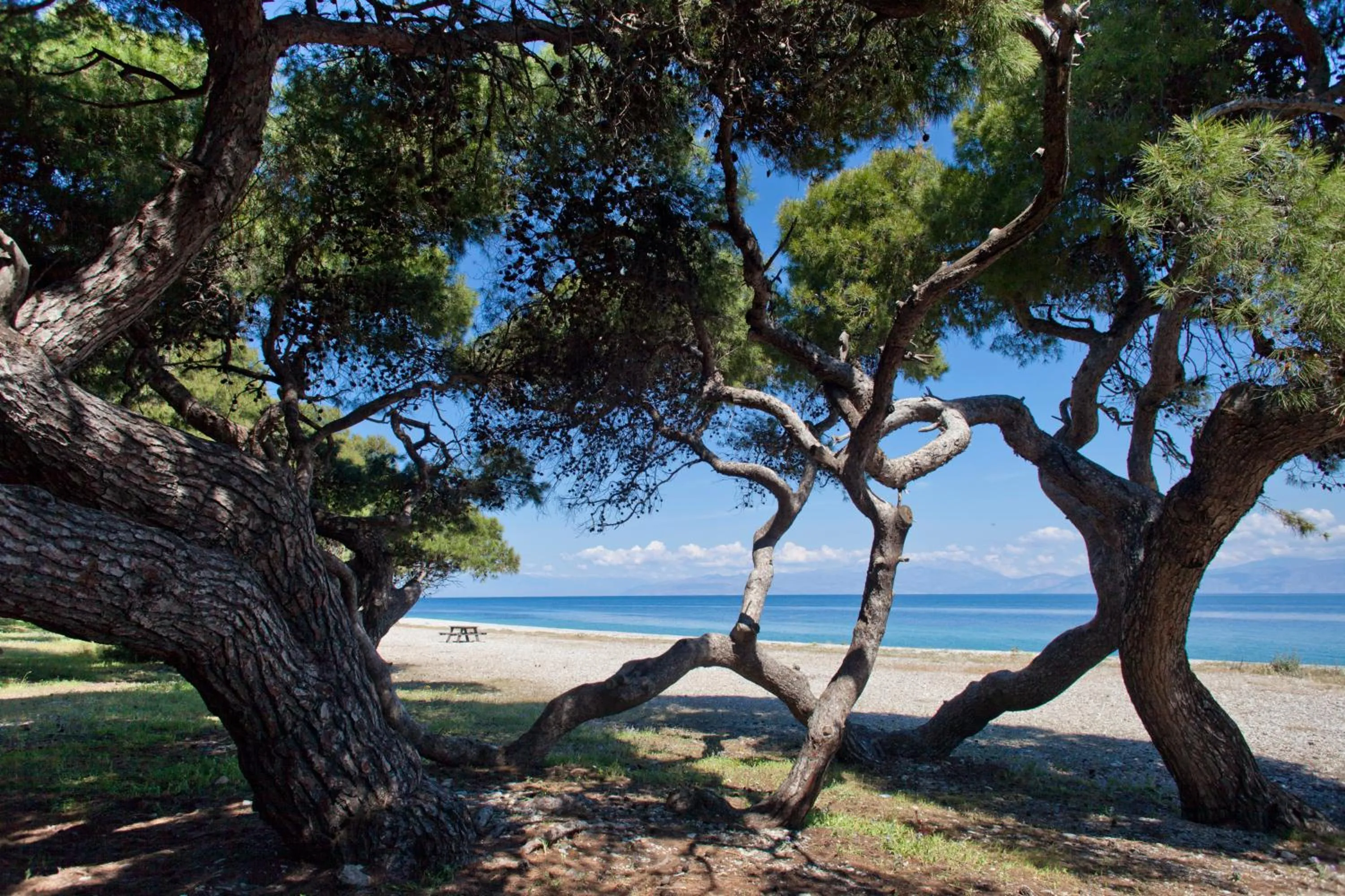 Beach in Daphne's Club Hotel Apartments