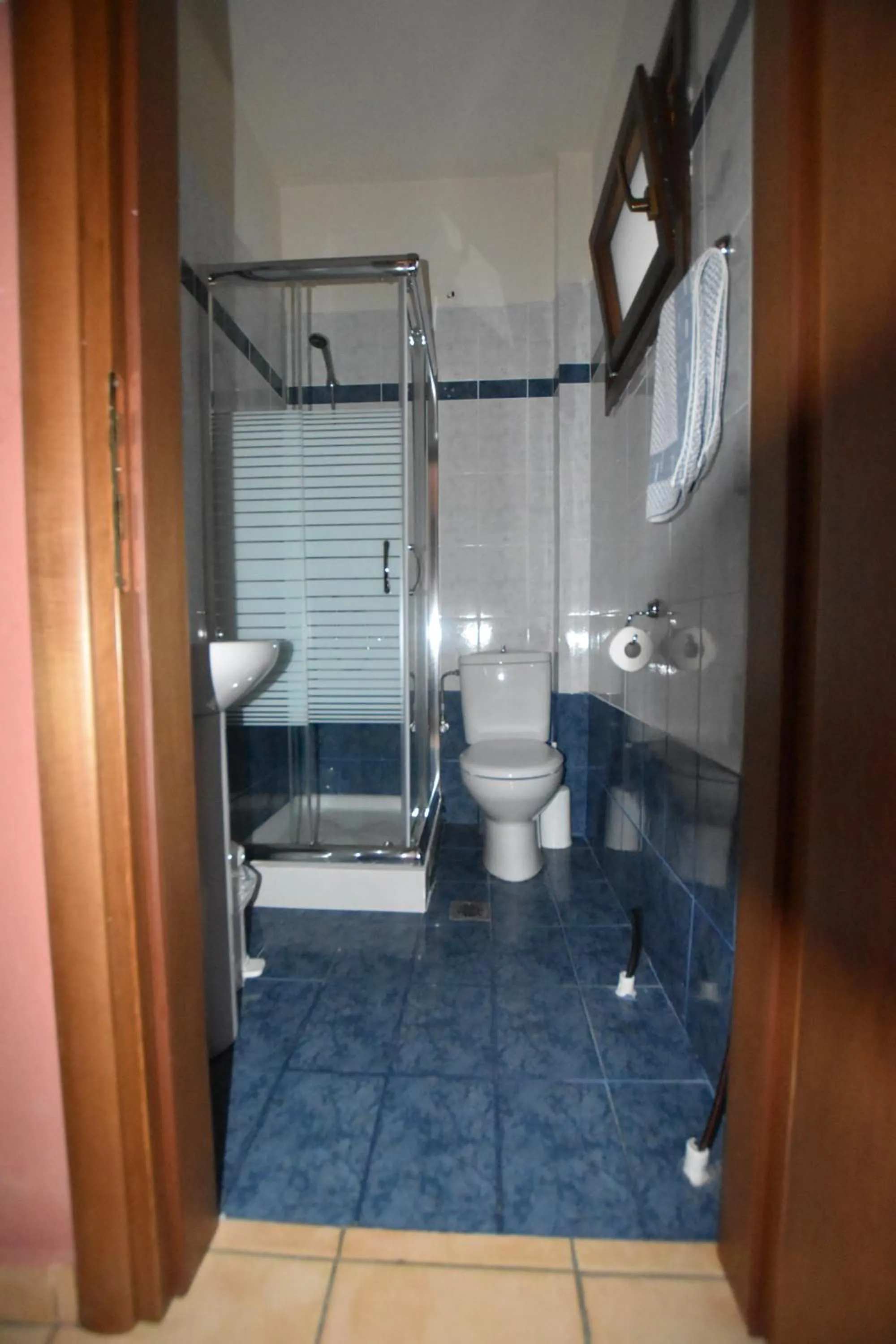 Deluxe Apartment - single occupancy in Pansion Fani