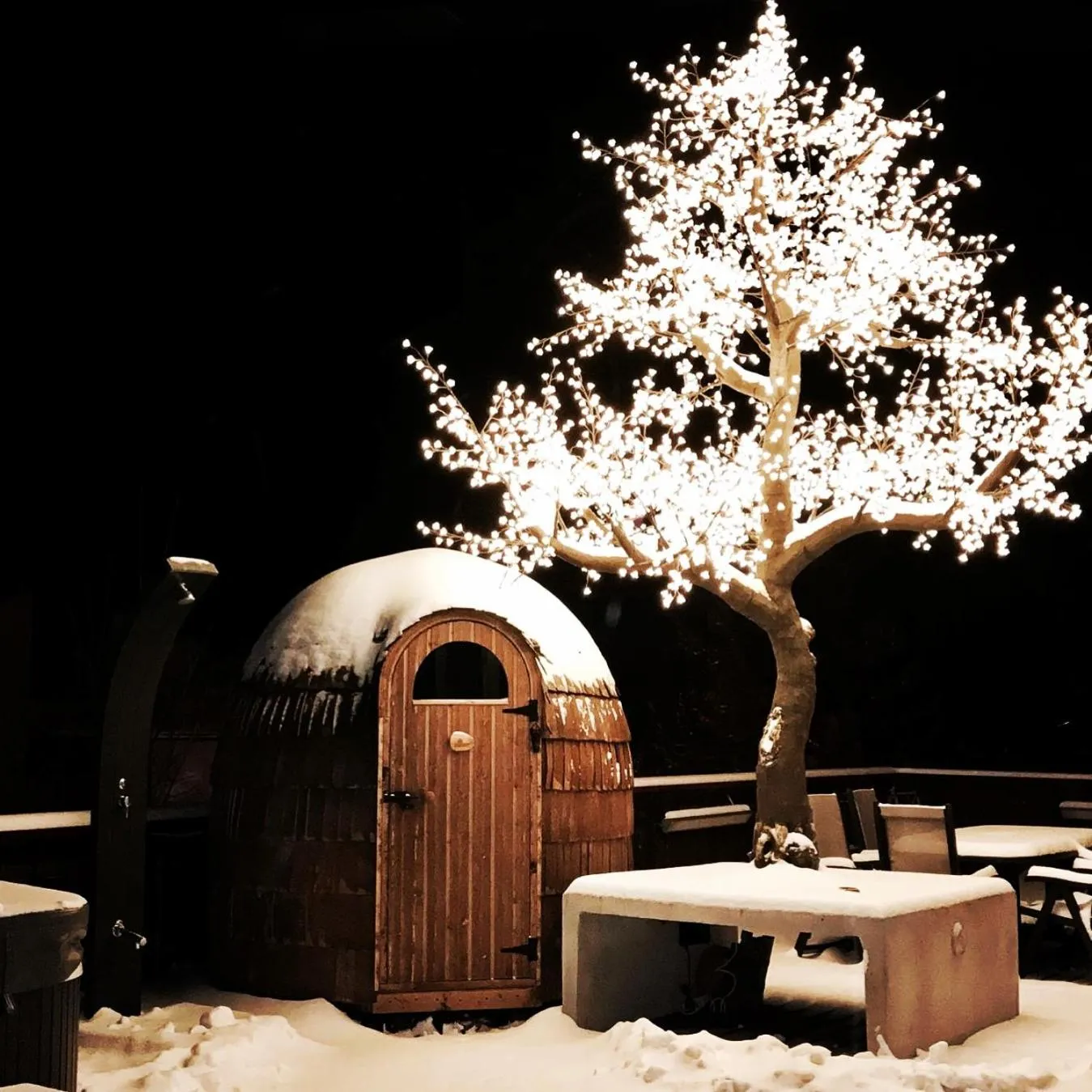 Night in Hotel Regina