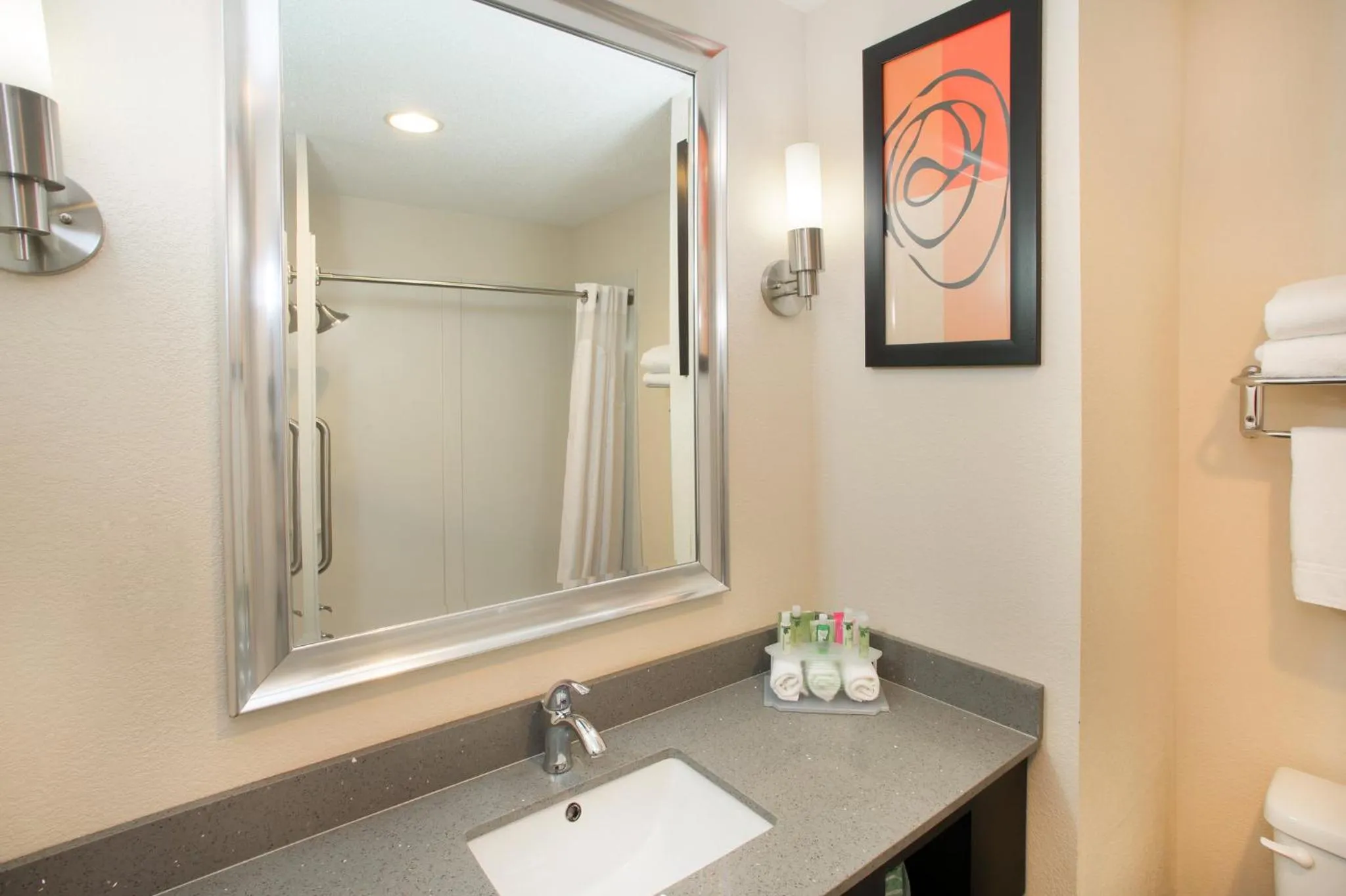 Bathroom in Holiday Inn Express Lexington Southwest Nicholasville by IHG
