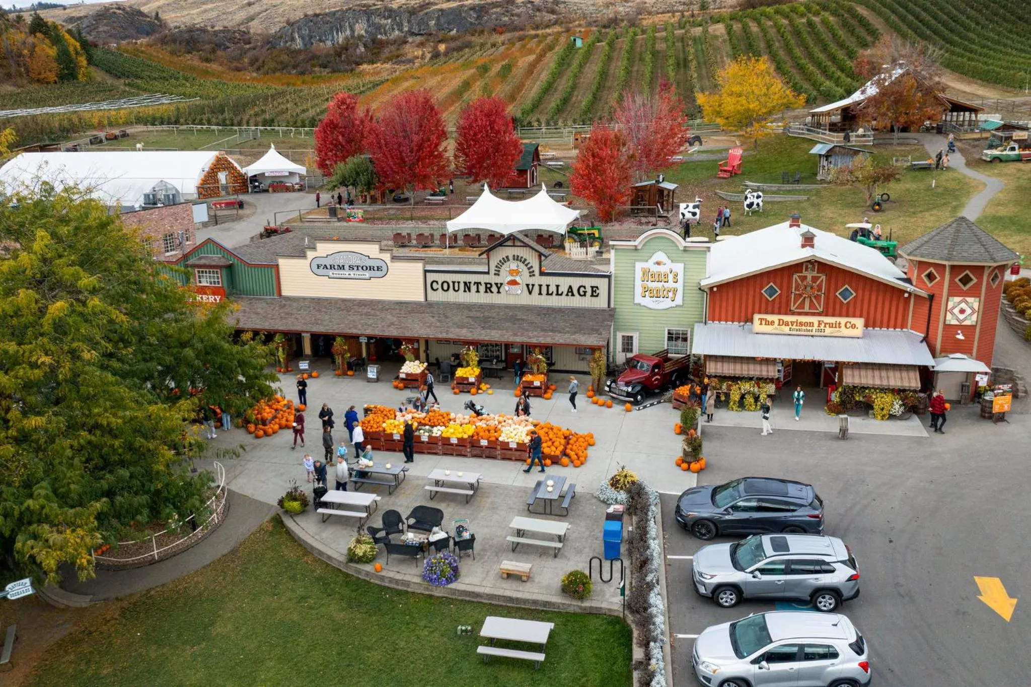 Area and facilities in Holiday Inn Express Hotel & Suites Vernon by IHG