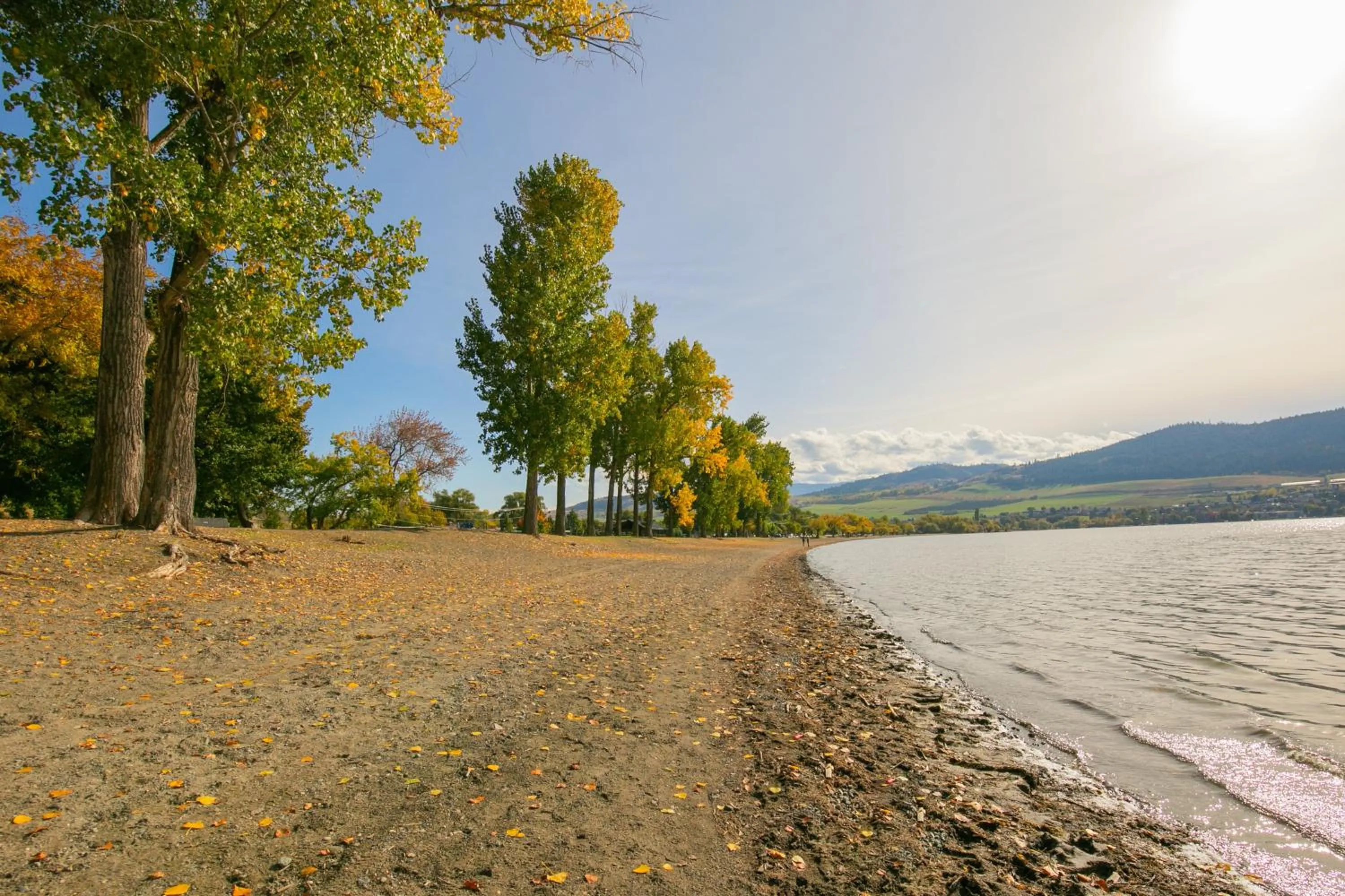 Area and facilities in Holiday Inn Express Hotel & Suites Vernon by IHG