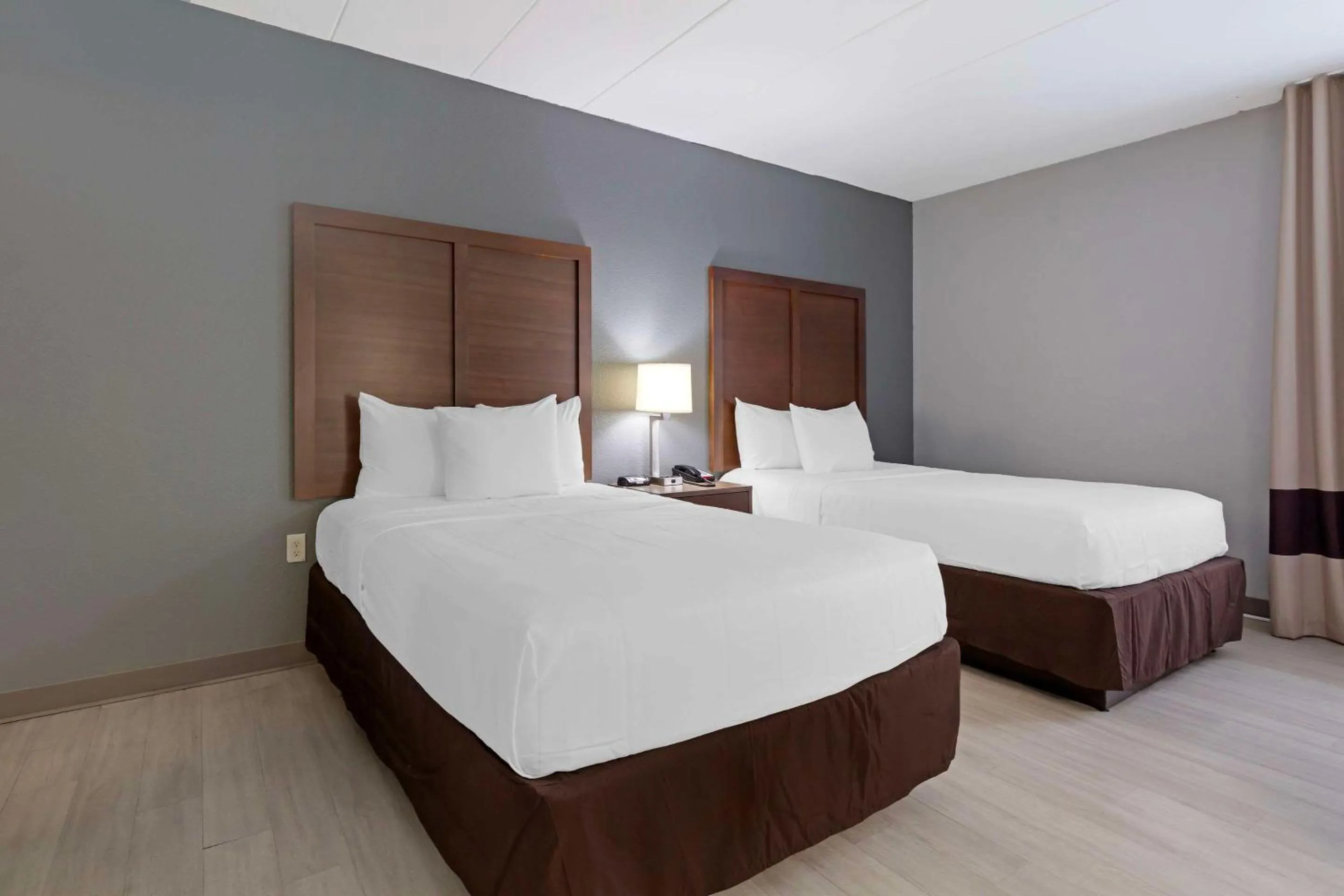 Bedroom, Bed in Clarion Hotel & Suites BWI Airport North