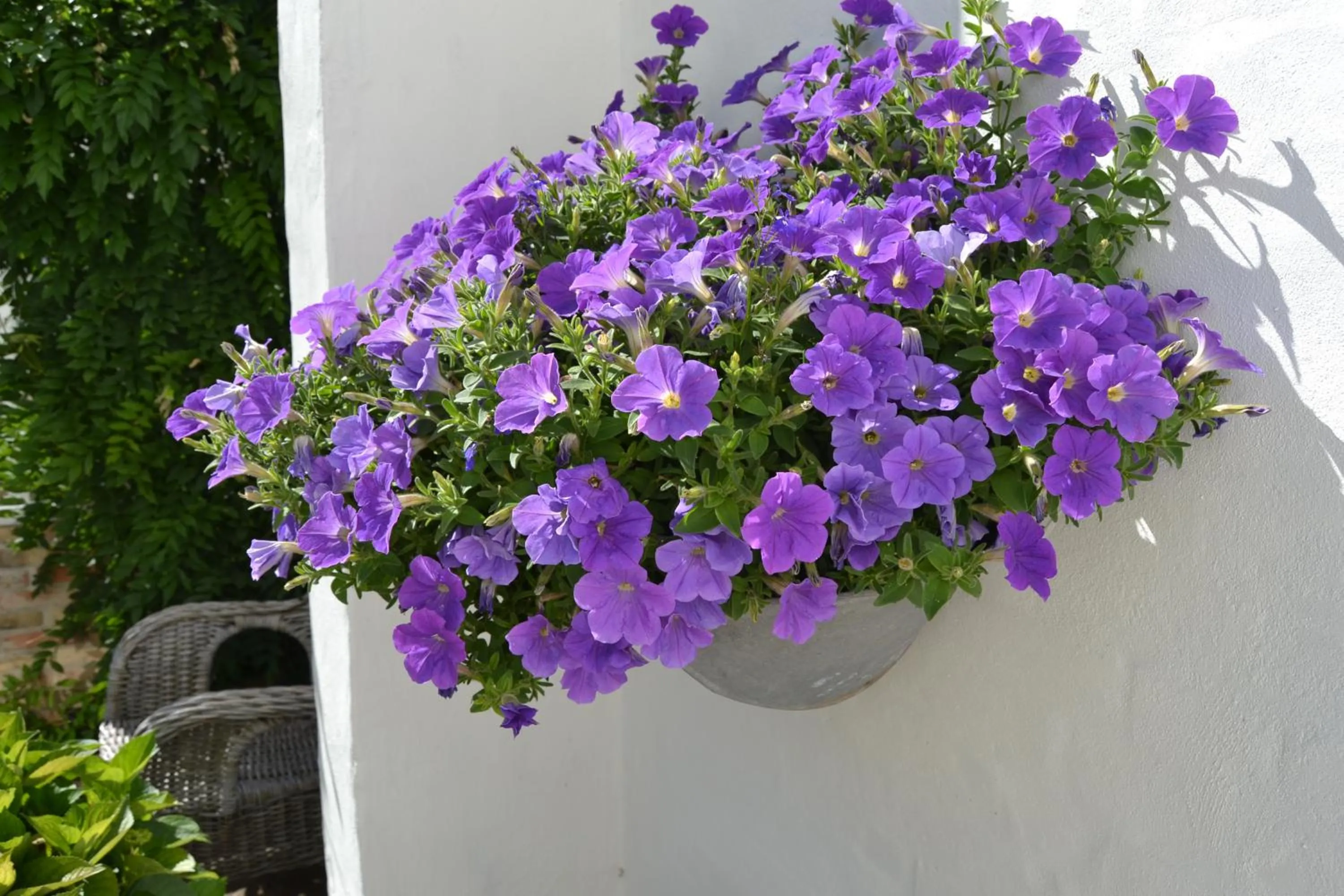 Day in Vibes bed&breakfast