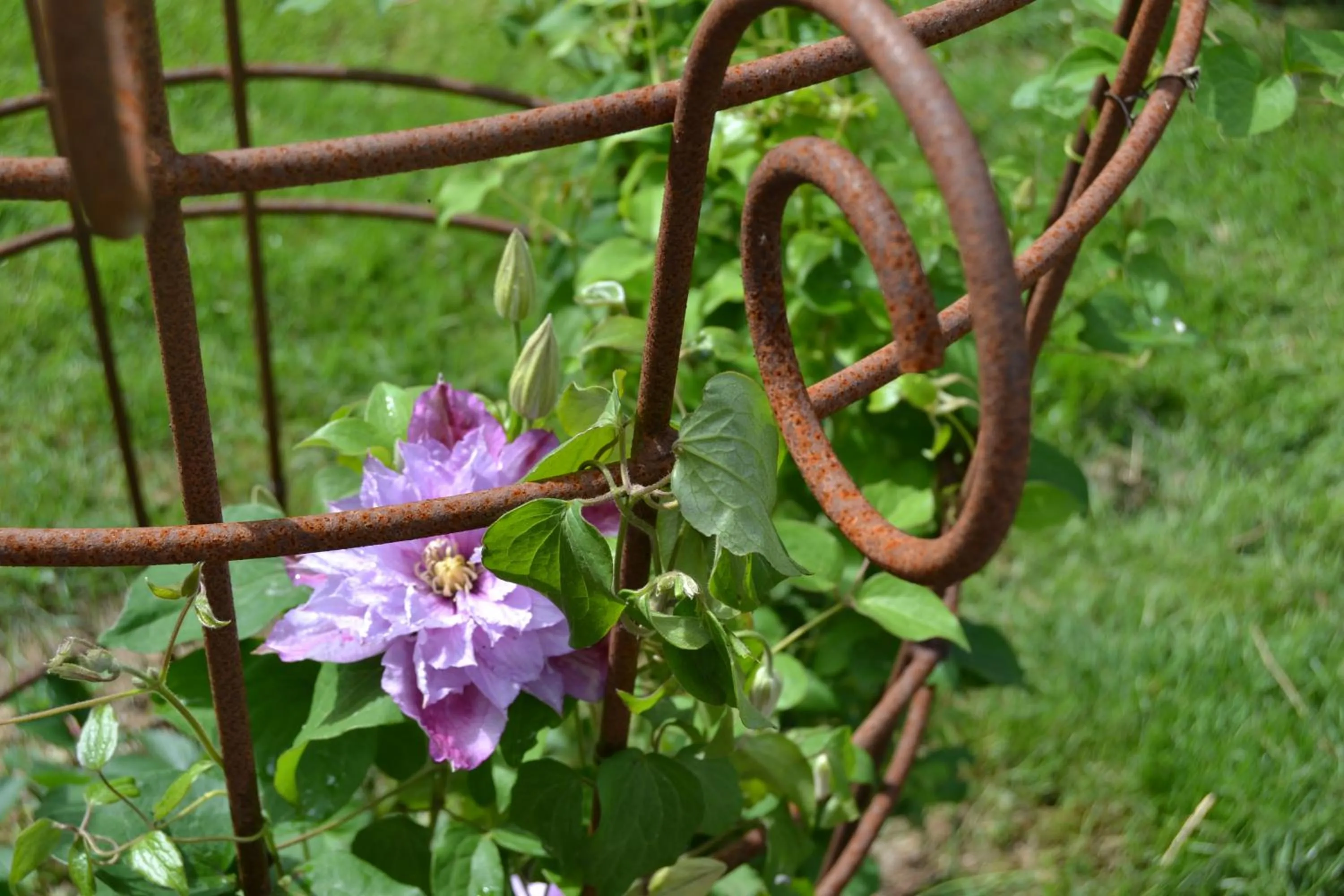 Decorative detail in Vibes bed&breakfast