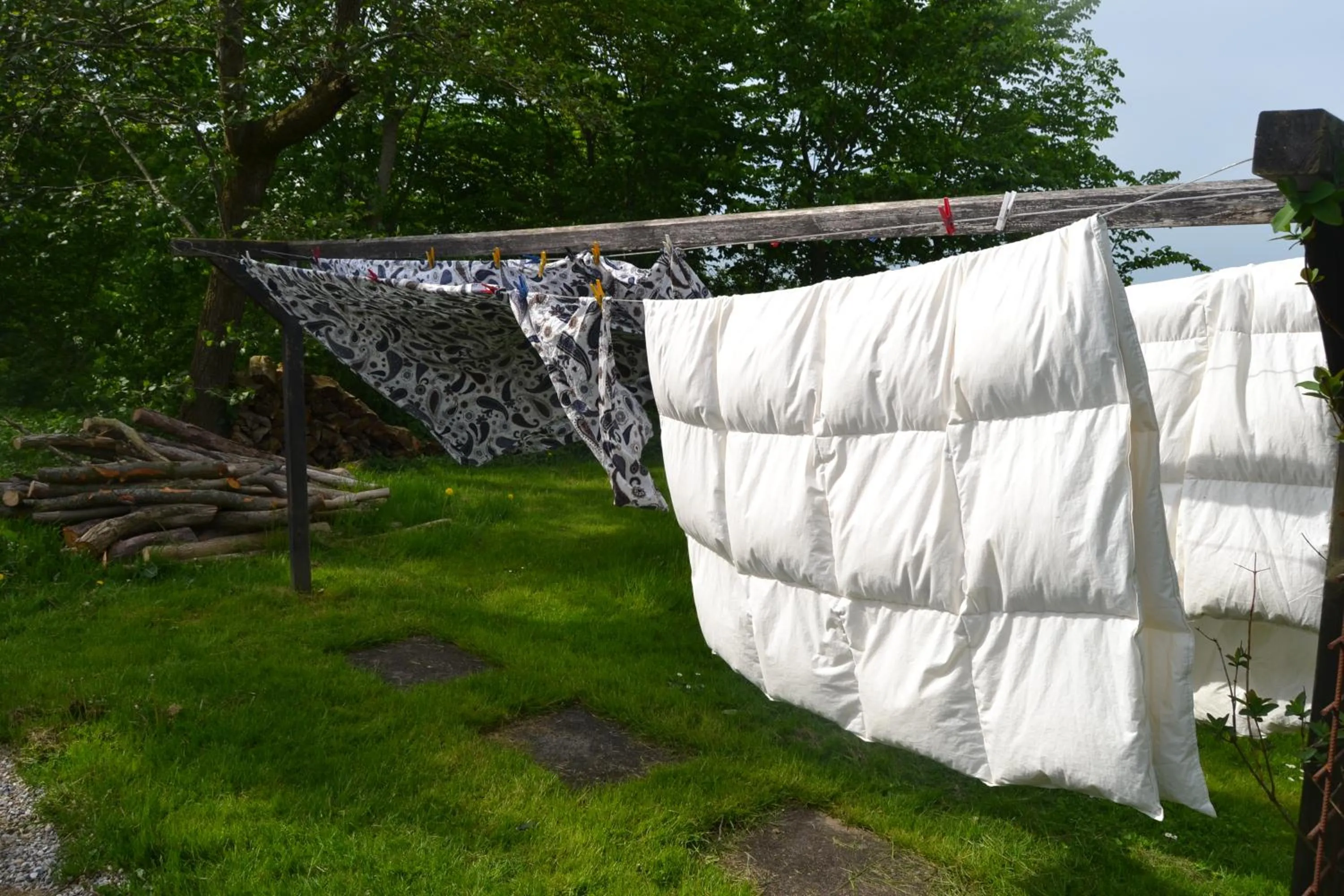 Area and facilities in Vibes bed&breakfast