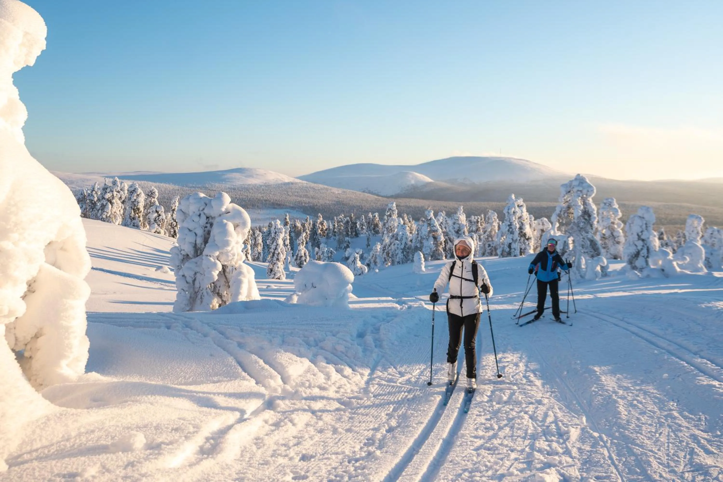 People in Hotel Seita