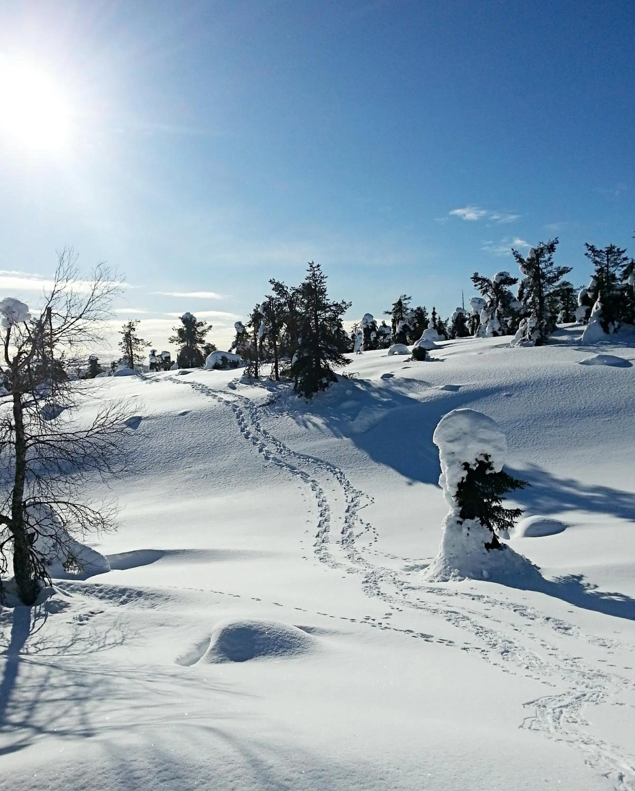 Natural landscape in Hotel Seita