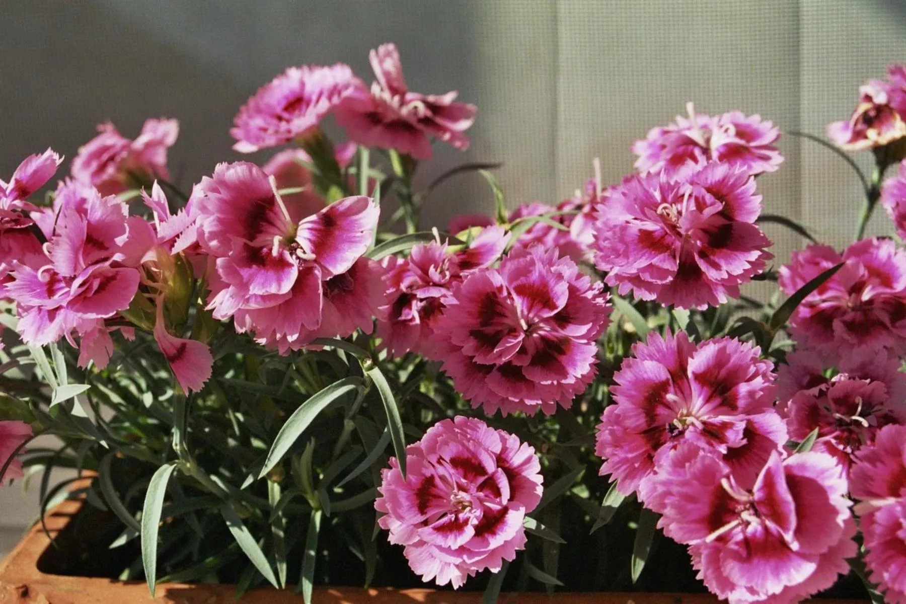 Other in Hotel Schmid