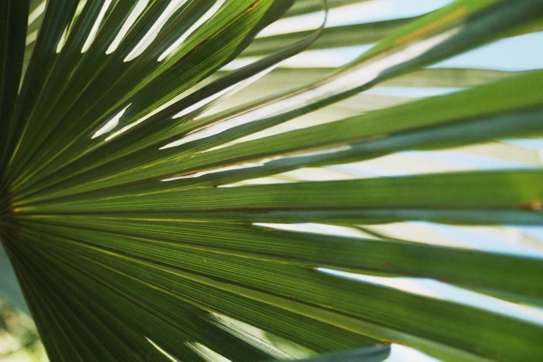 Other in Hotel Schmid