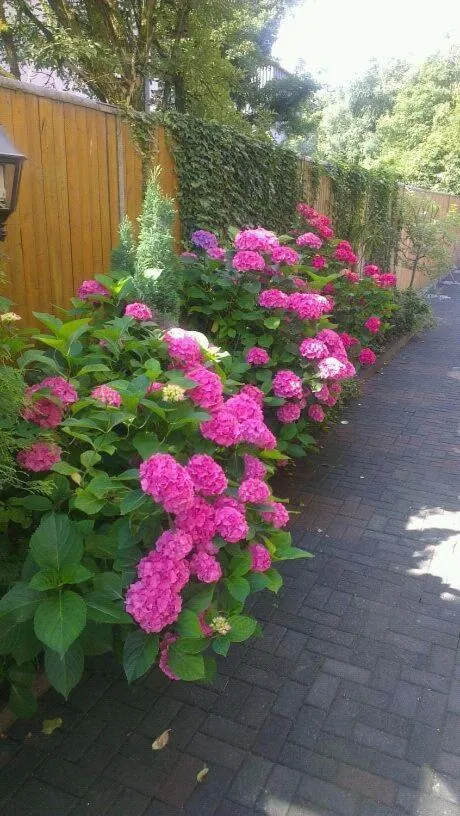 Decorative detail in Hotel Refrather Hof