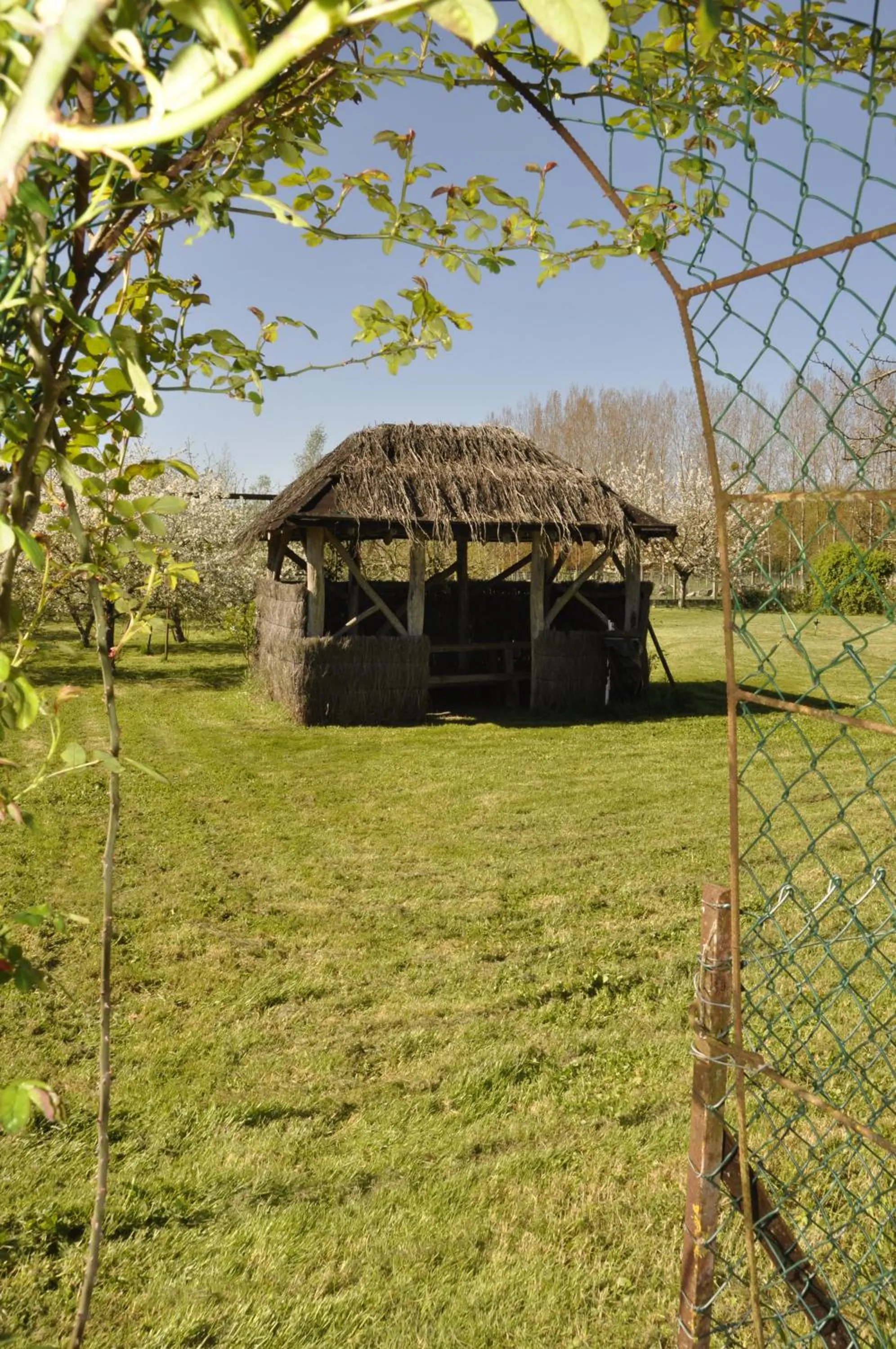 Spring in Les rouches