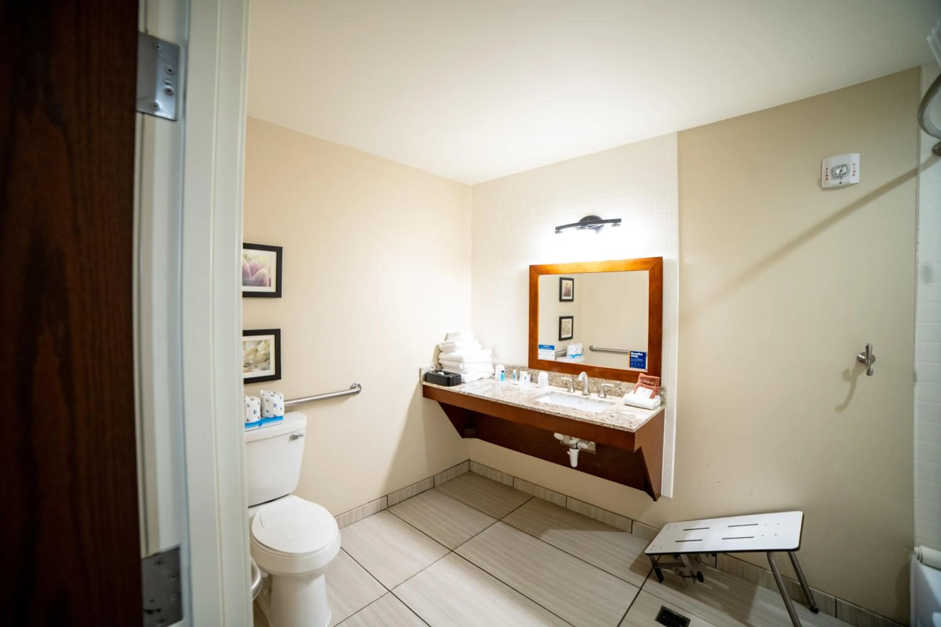 Toilet in Comfort Suites University Brookings