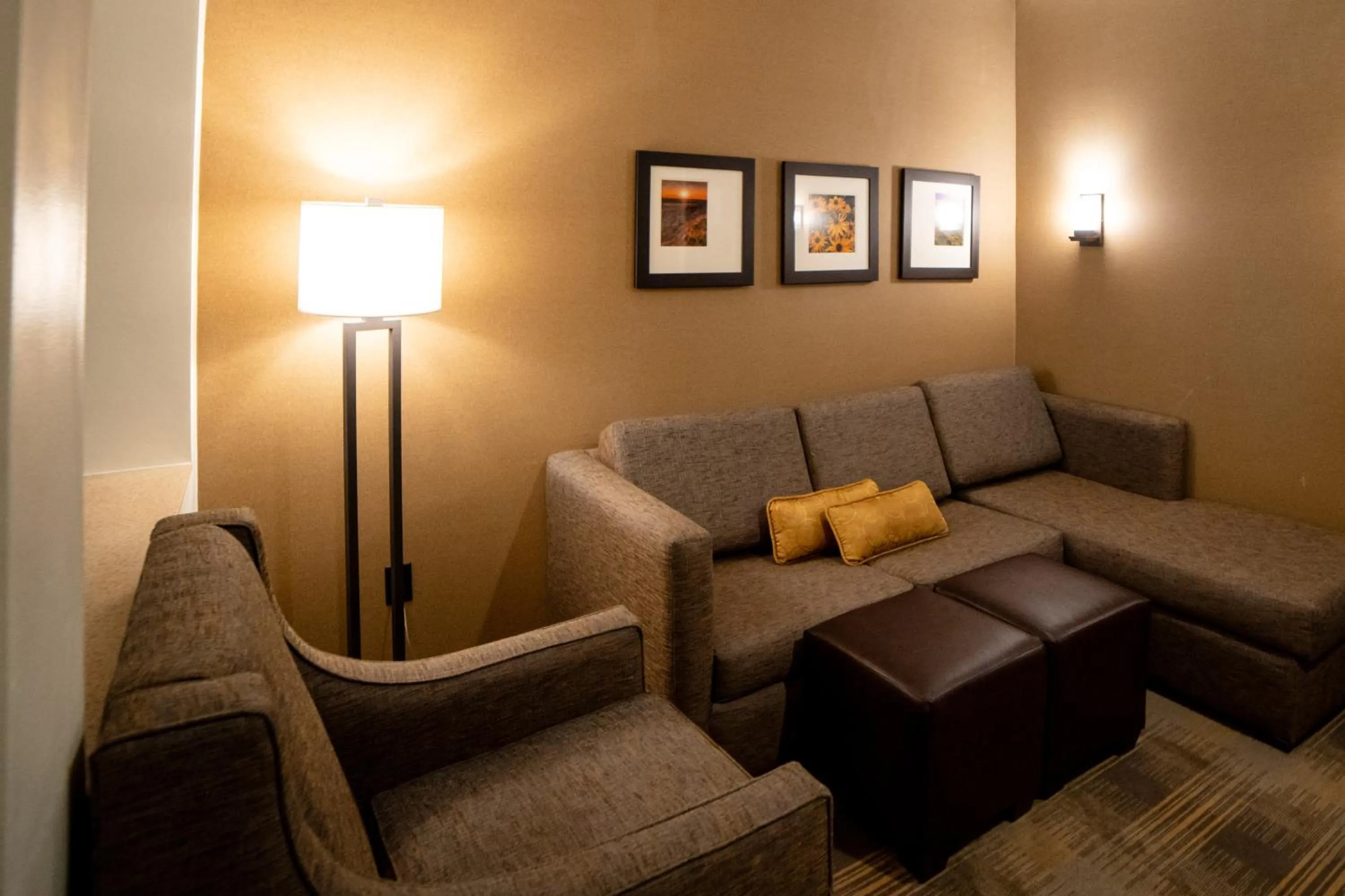 Living room in Comfort Suites University Brookings