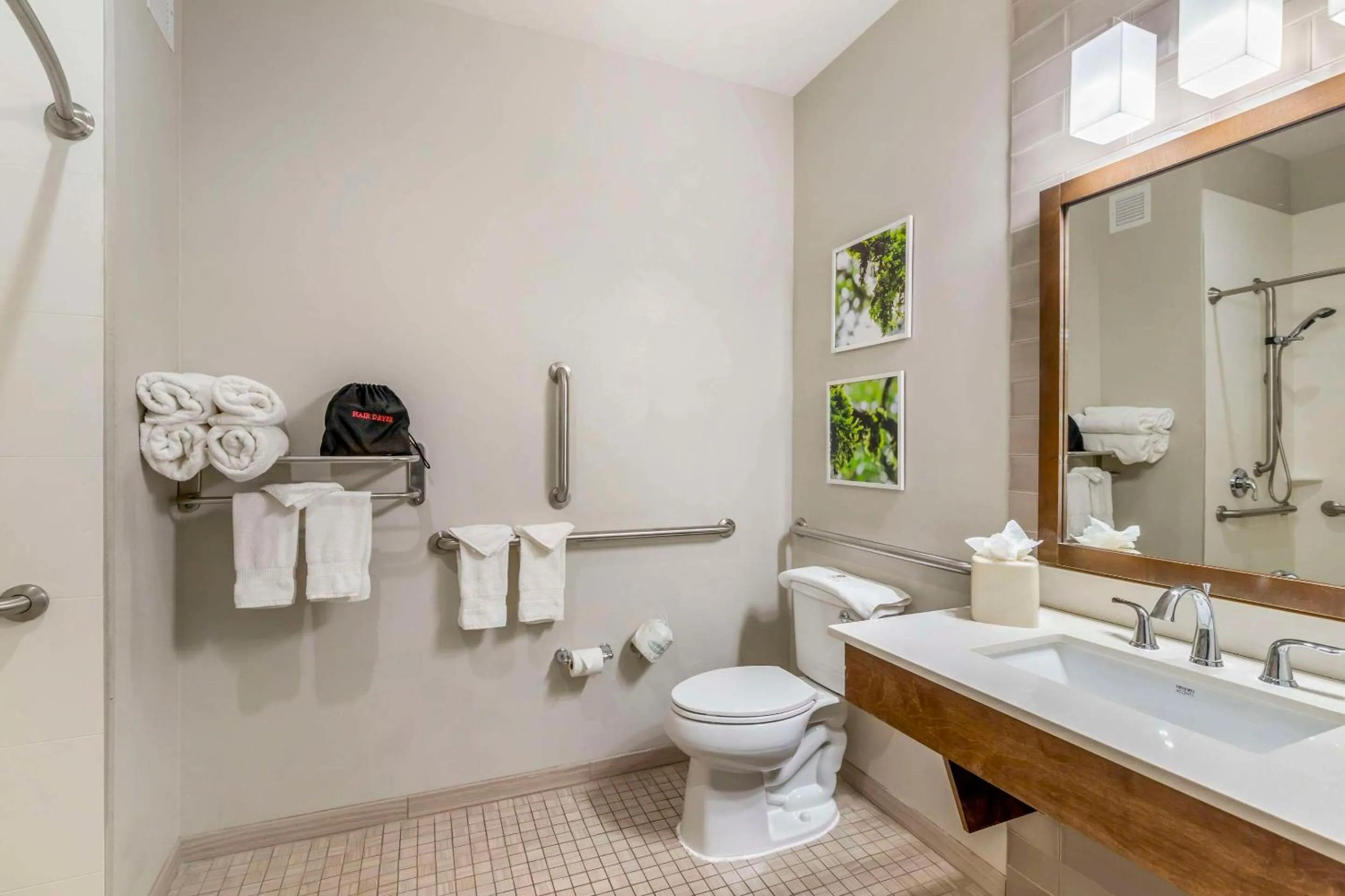 Bathroom in Comfort Inn & Suites Valdosta I-75