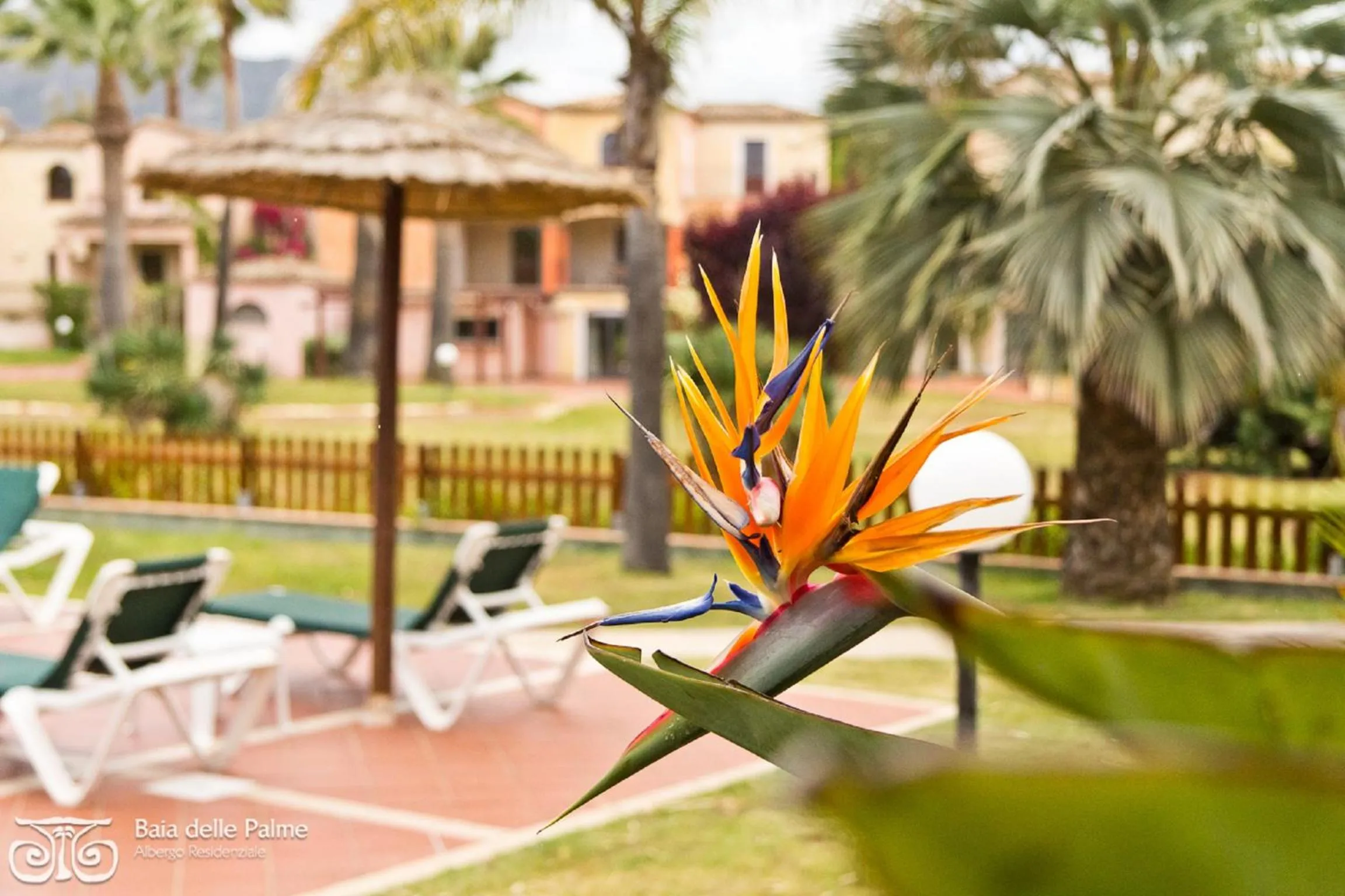 Garden in Baia Delle Palme Beach