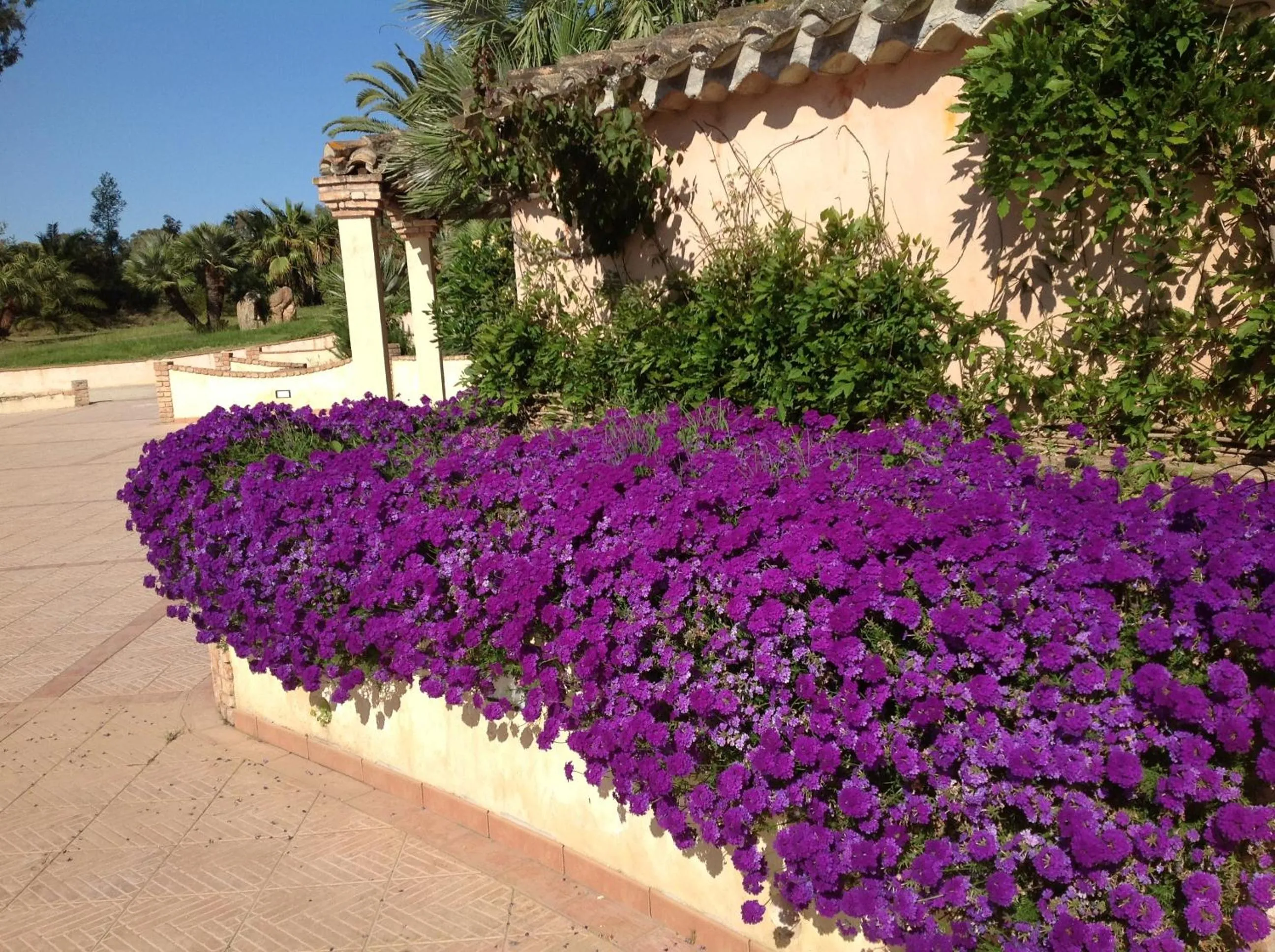Decorative detail in Baia Delle Palme Beach