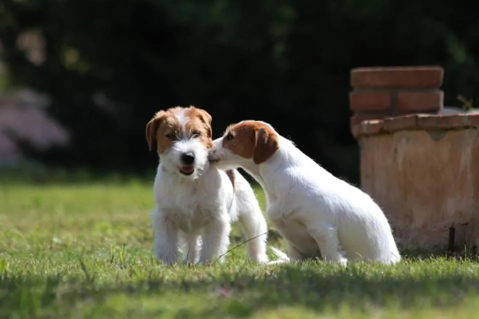 Baia Delle Palme Beach