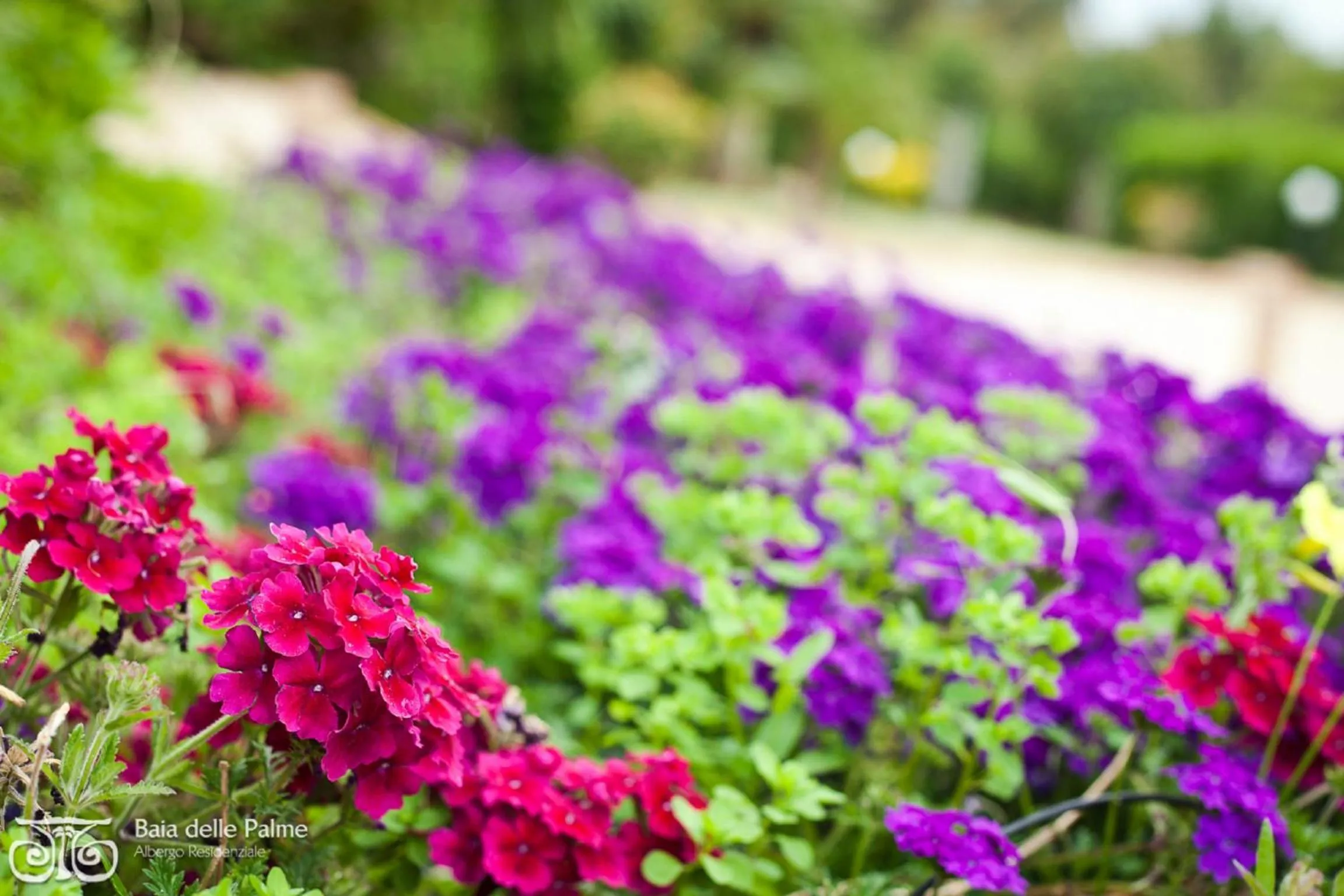 Facade/entrance in Baia Delle Palme Beach