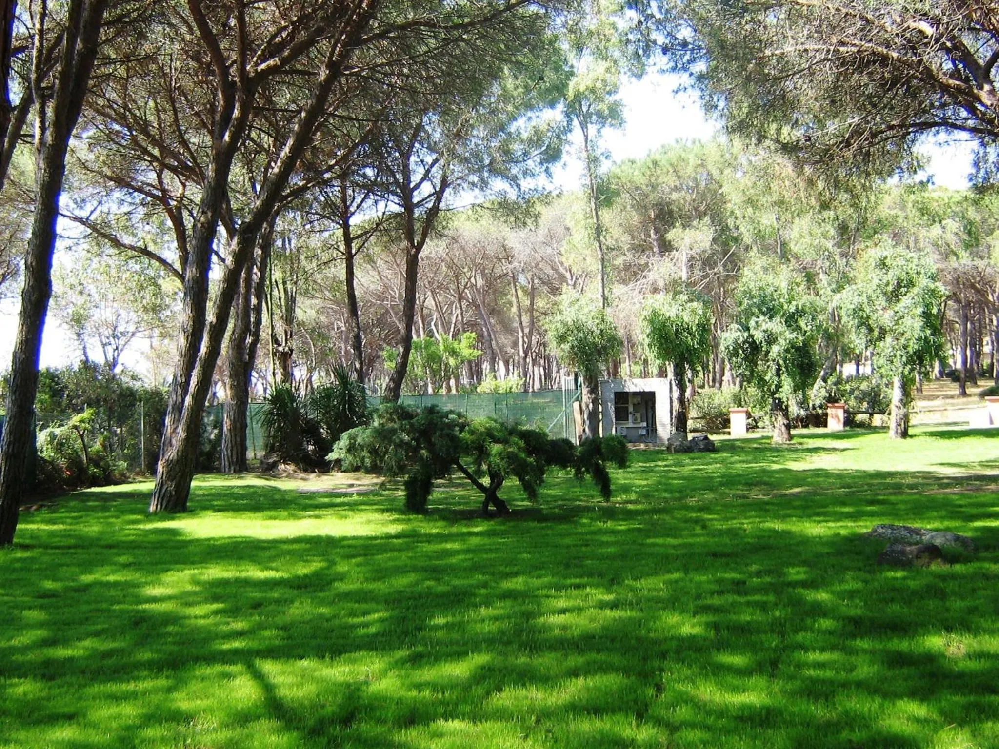Garden view in Baia Delle Palme Beach