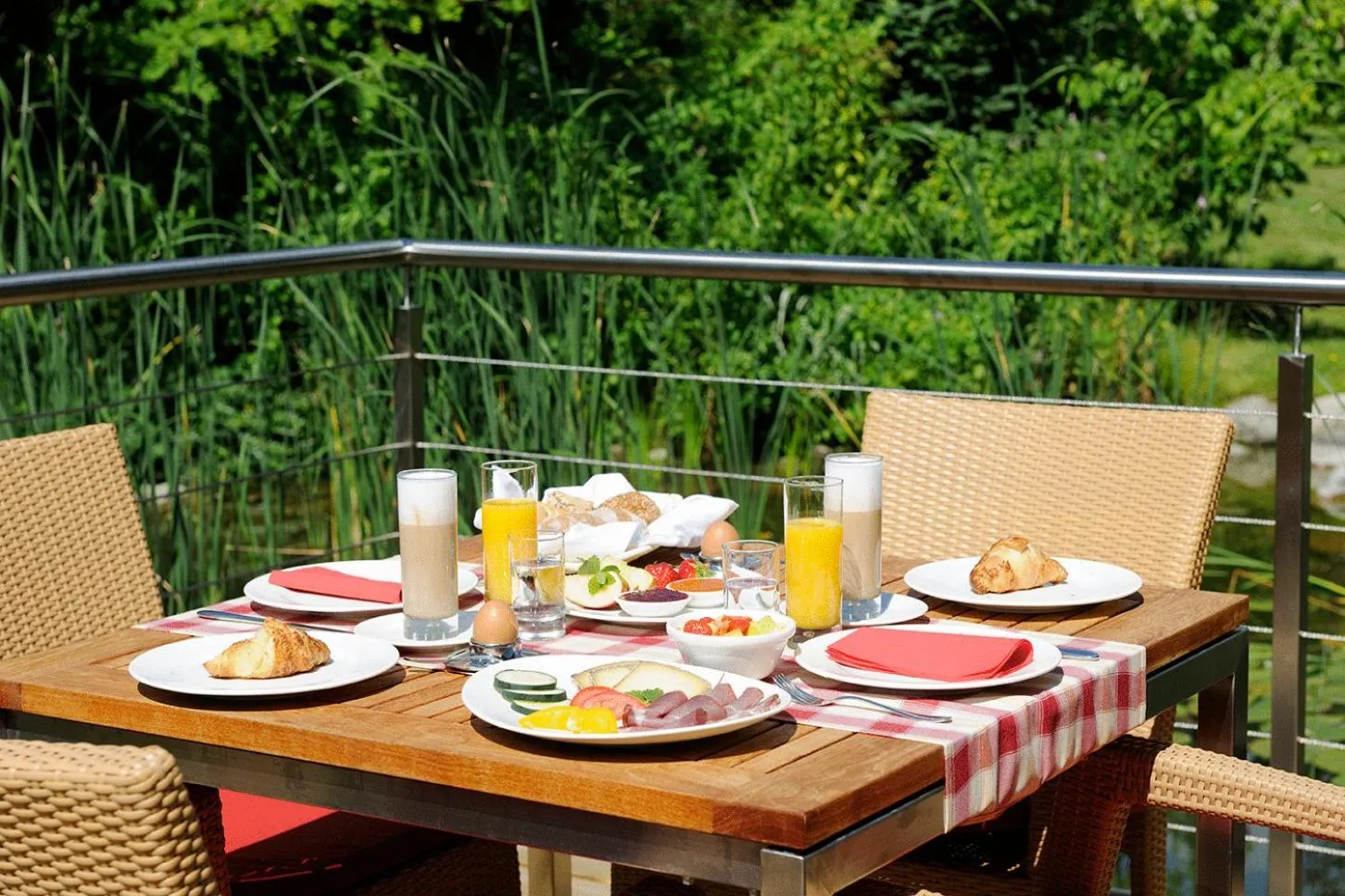 Balcony/Terrace in Hotel Garni Partaneshof