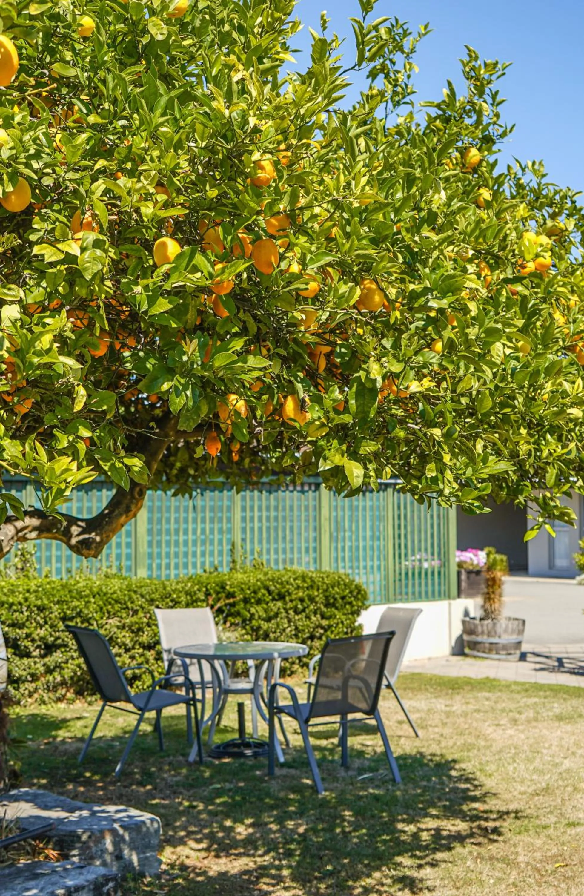 Garden in Montana Lodge Motel