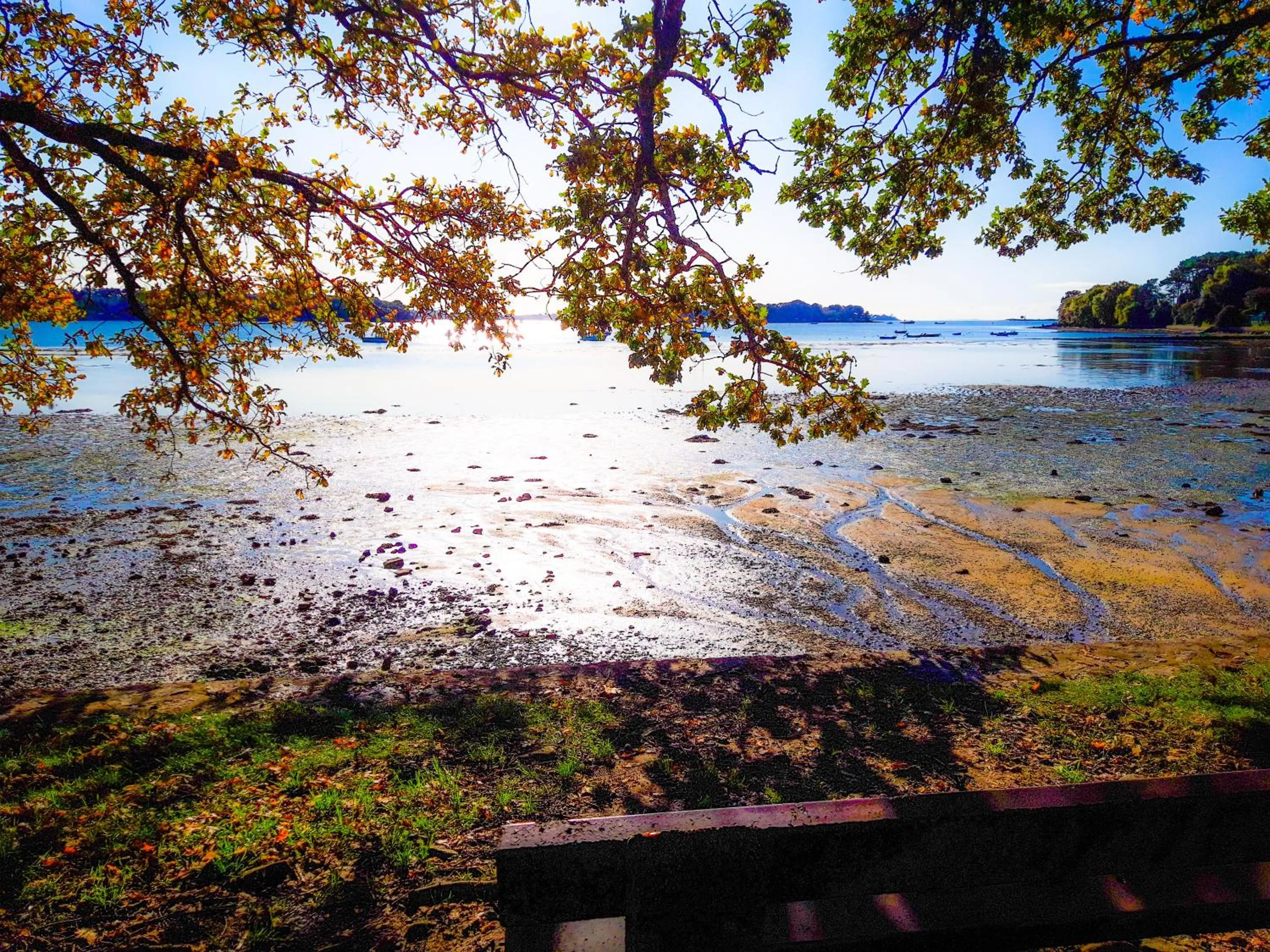 Natural landscape in Hotel Alicia Auray Le Bono