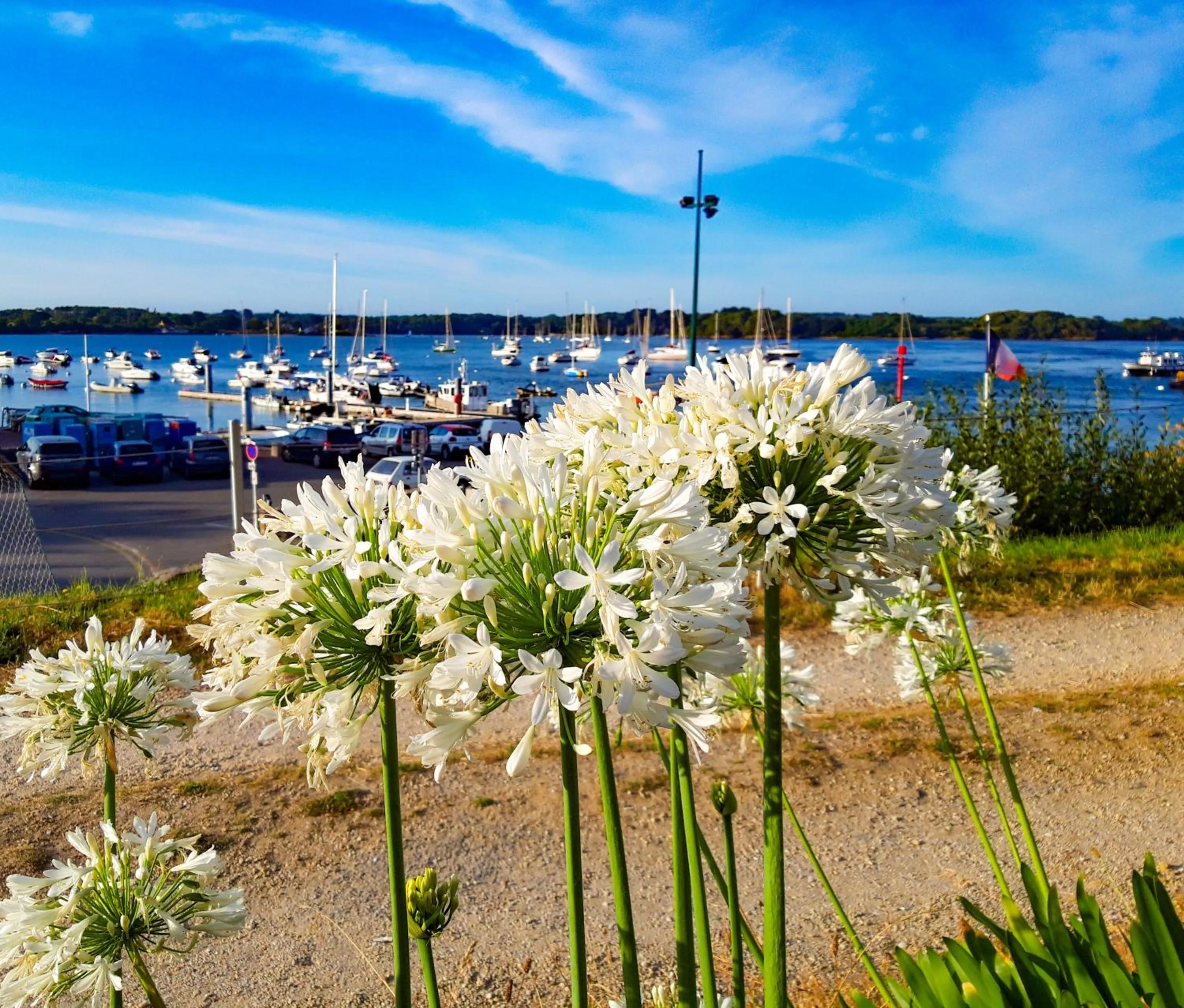 Natural landscape in Hotel Alicia Auray Le Bono