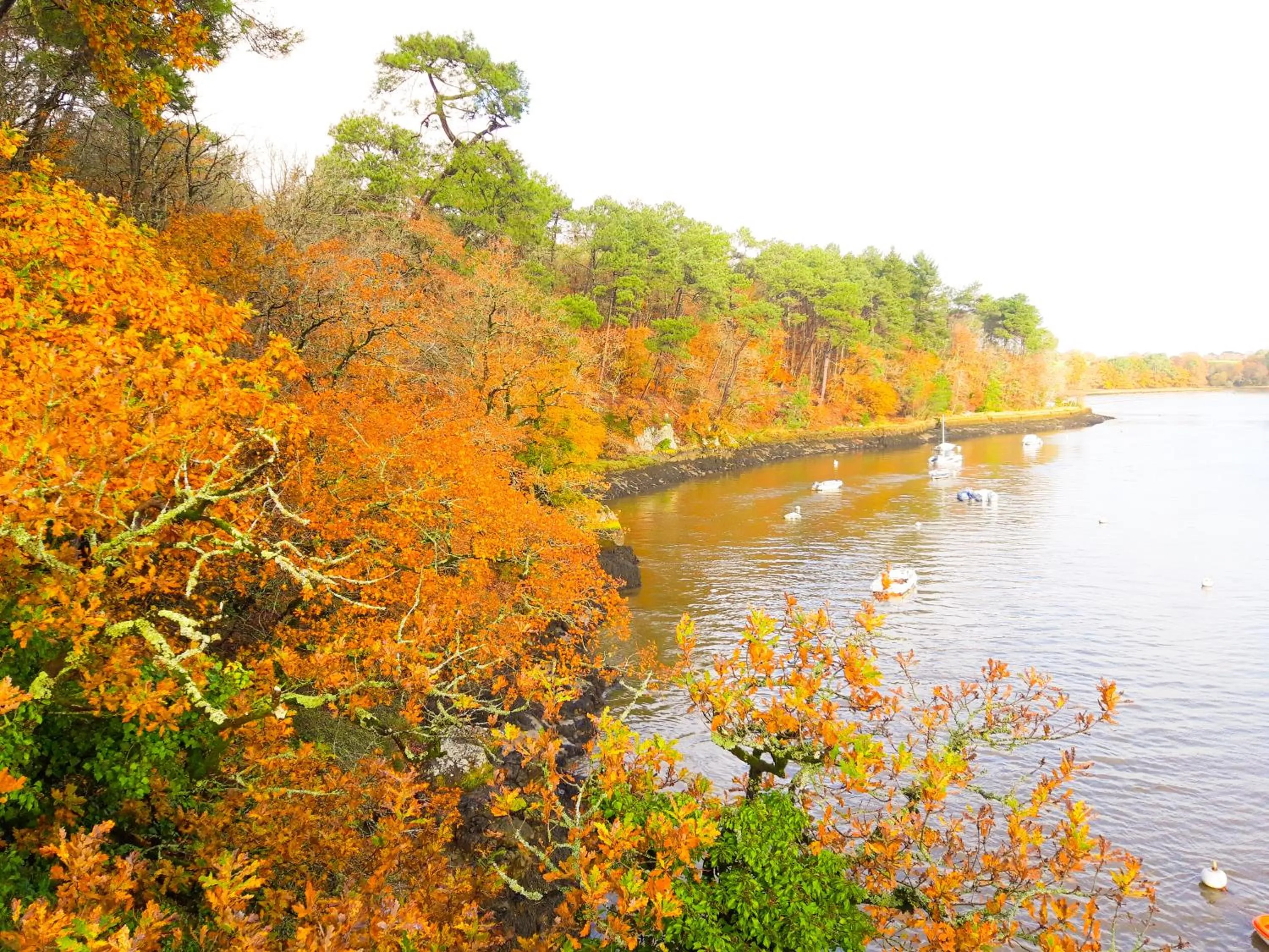 Natural landscape in Hotel Alicia Auray Le Bono