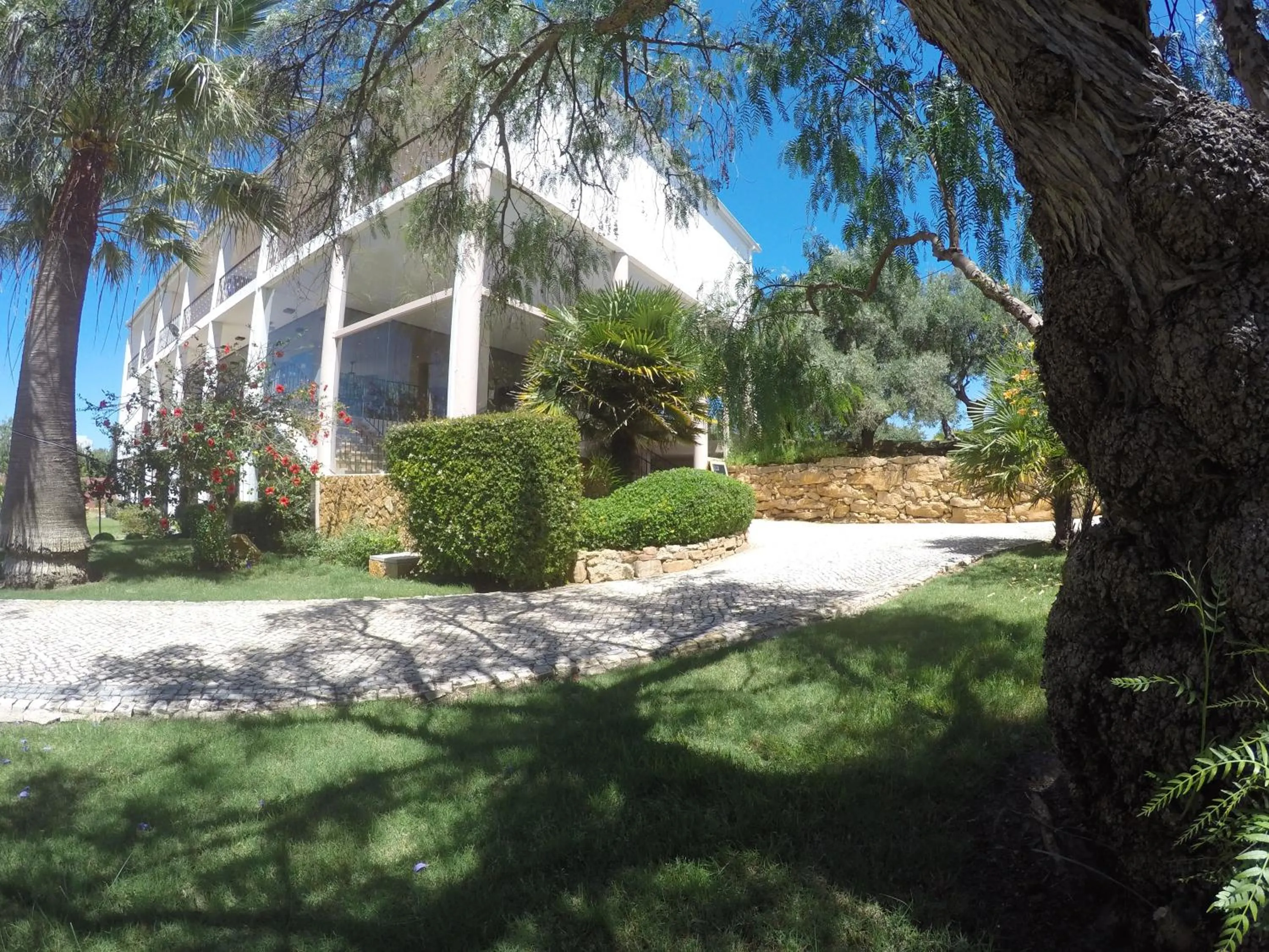 Facade/entrance in Luzmar Villas