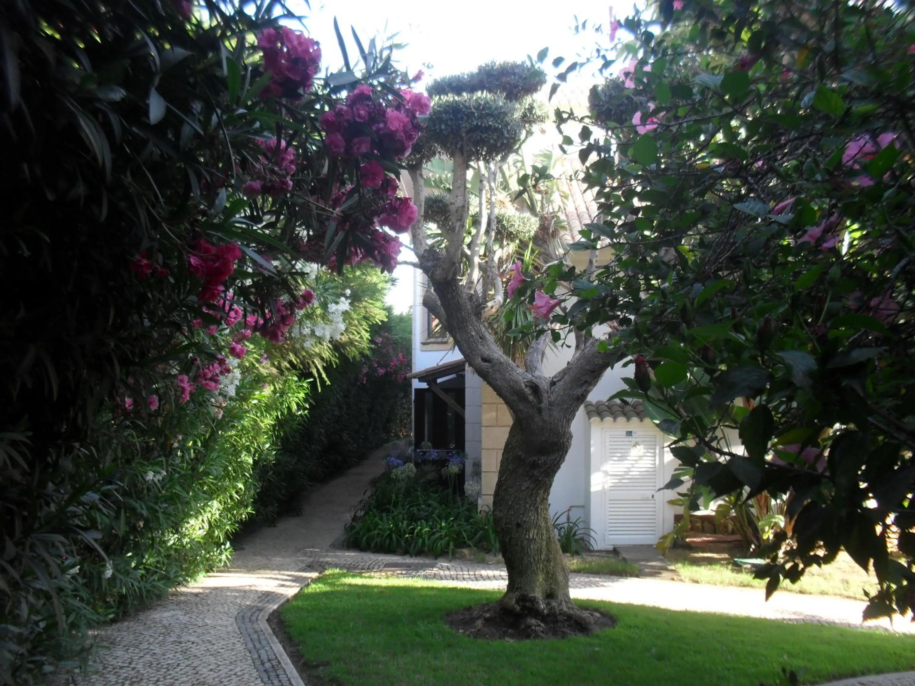 Property building in Luzmar Villas