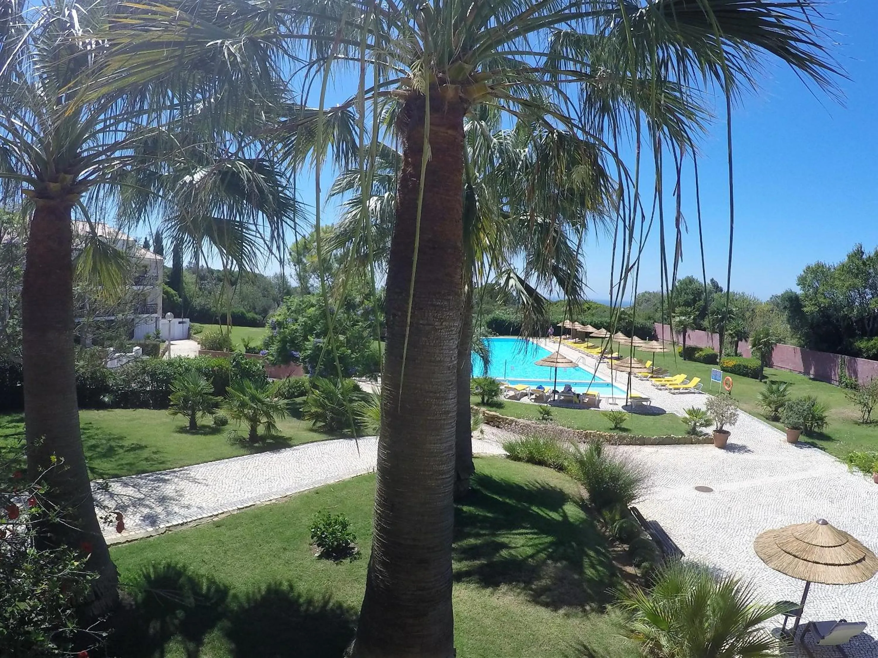 Garden in Luzmar Villas