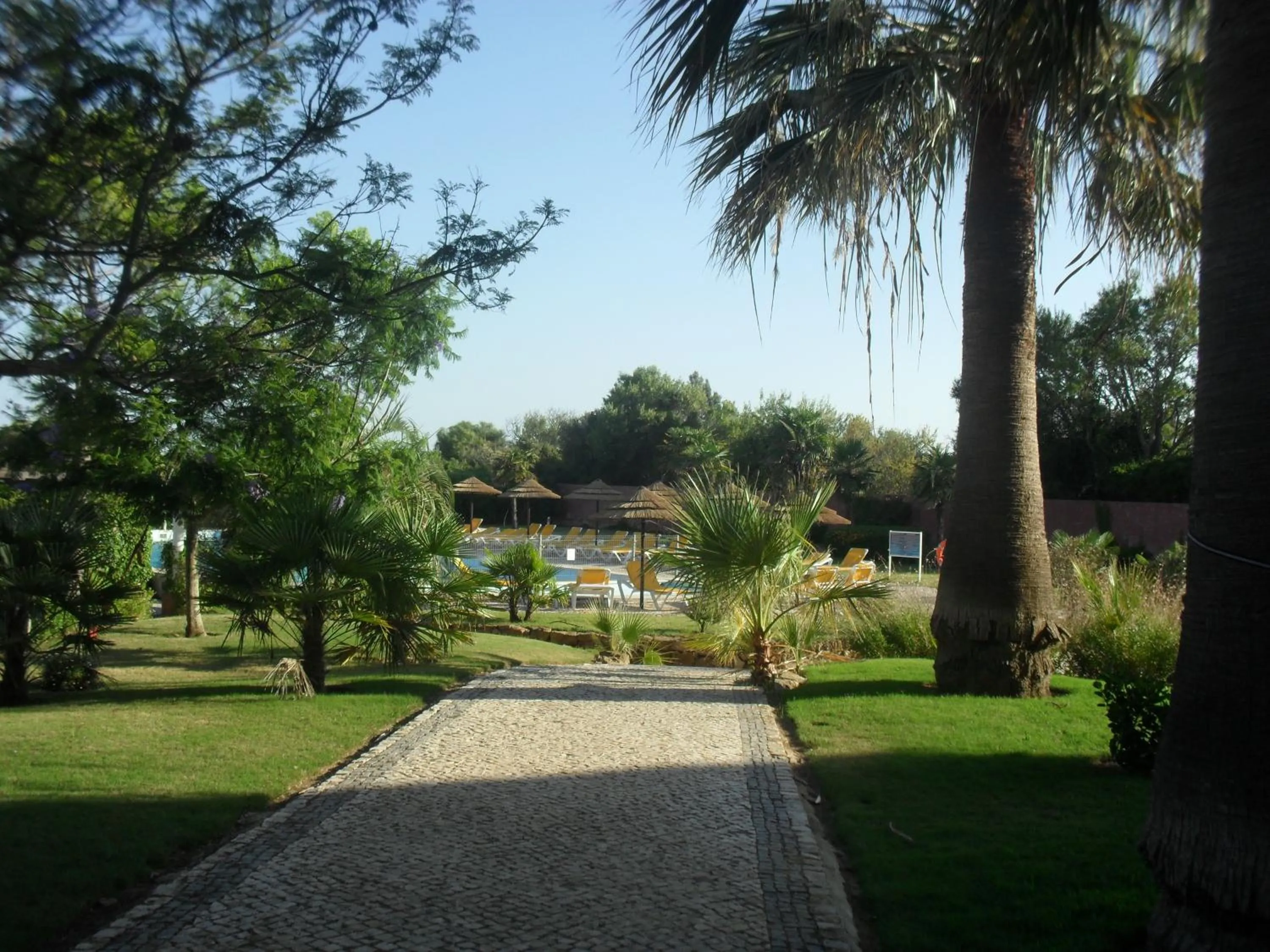 Garden in Luzmar Villas