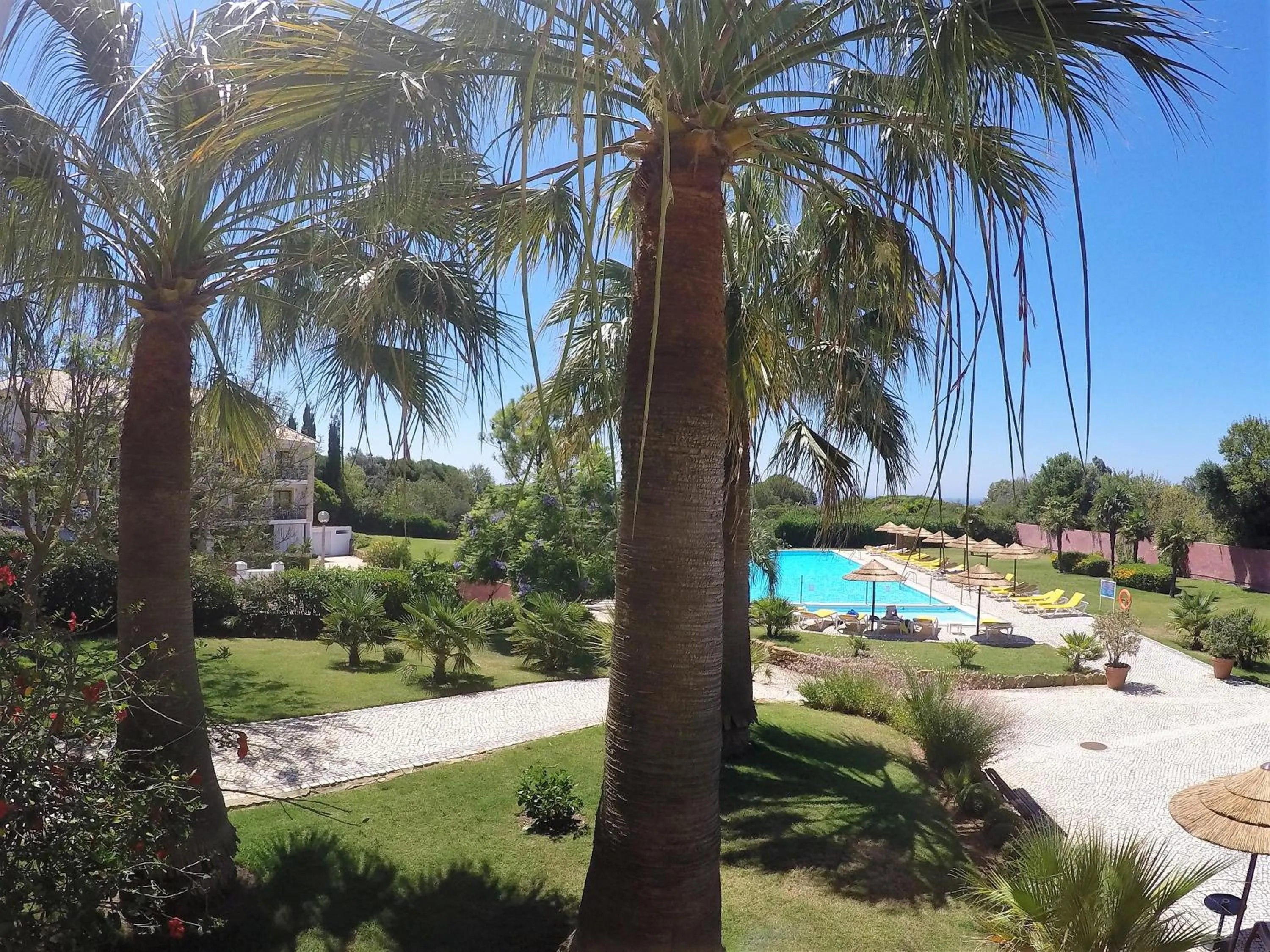 Garden in Luzmar Villas