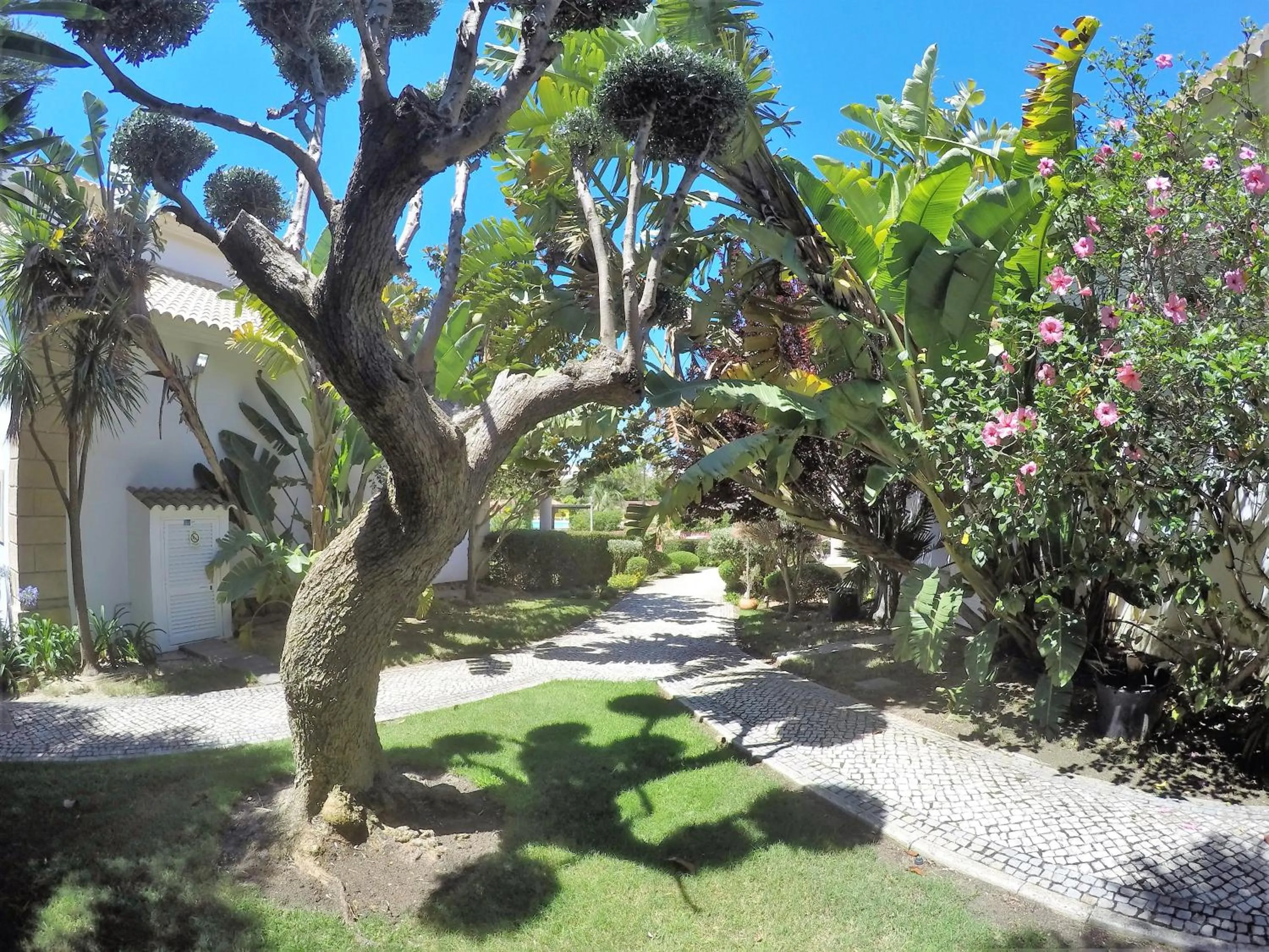 Patio in Luzmar Villas