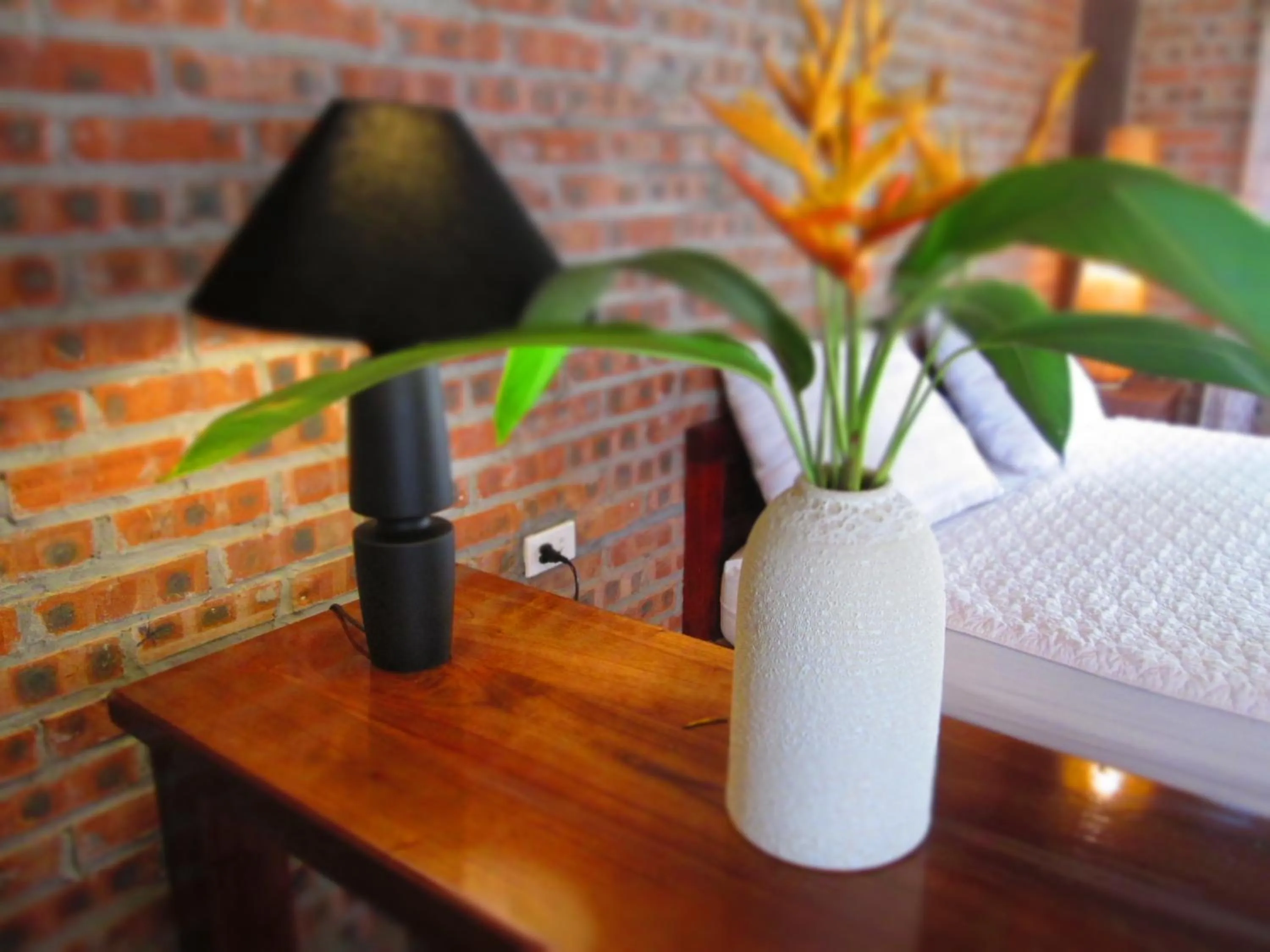 Property building in Ninh Binh Nature Homestay