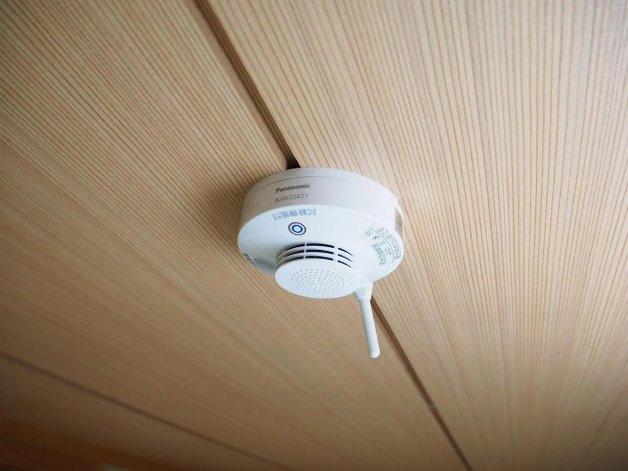 Area and facilities in Guesthouse Ten-roku - Female Only