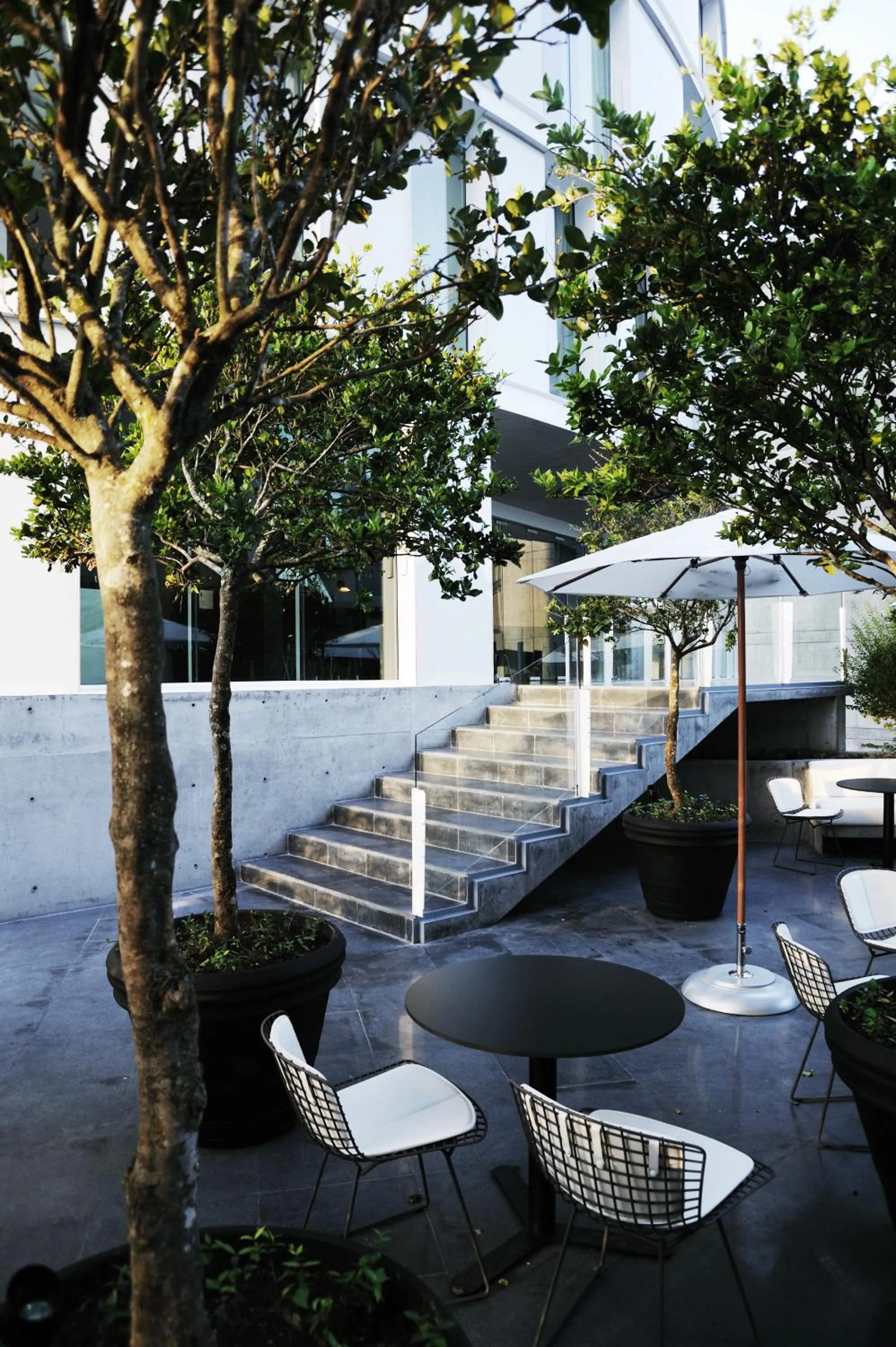 Balcony/Terrace in Habita Monterrey, a Member of Design Hotels