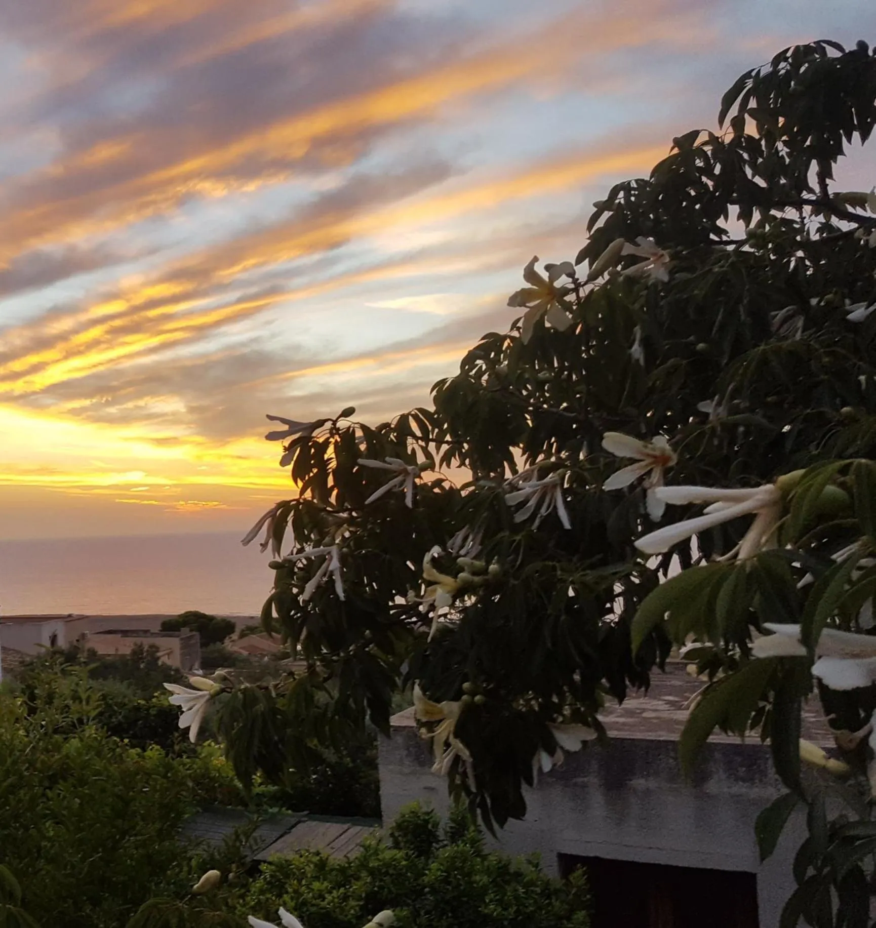 Summer in Raggio di Sole Bed & Breakfast