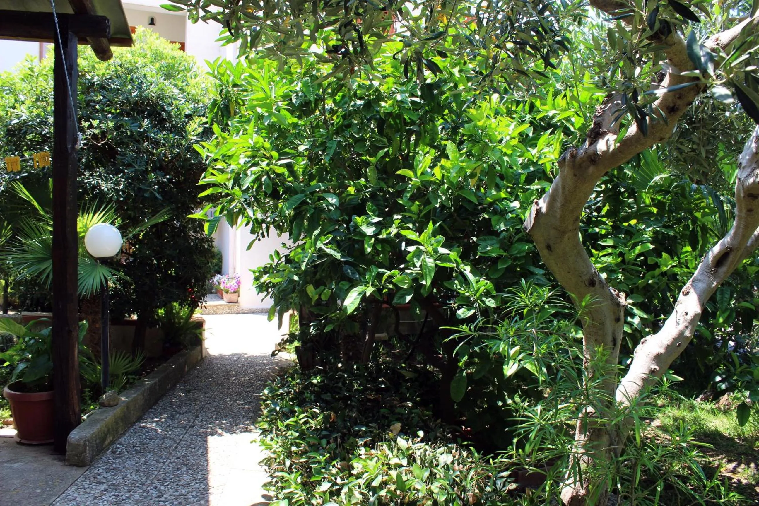 Garden in Raggio di Sole Bed & Breakfast