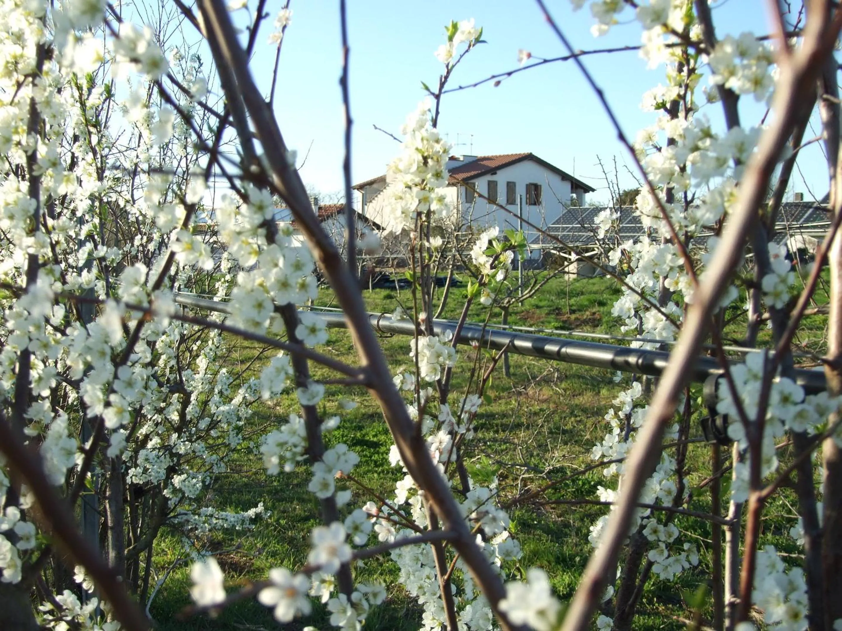 Property building in Agriturismo Il Marrugio