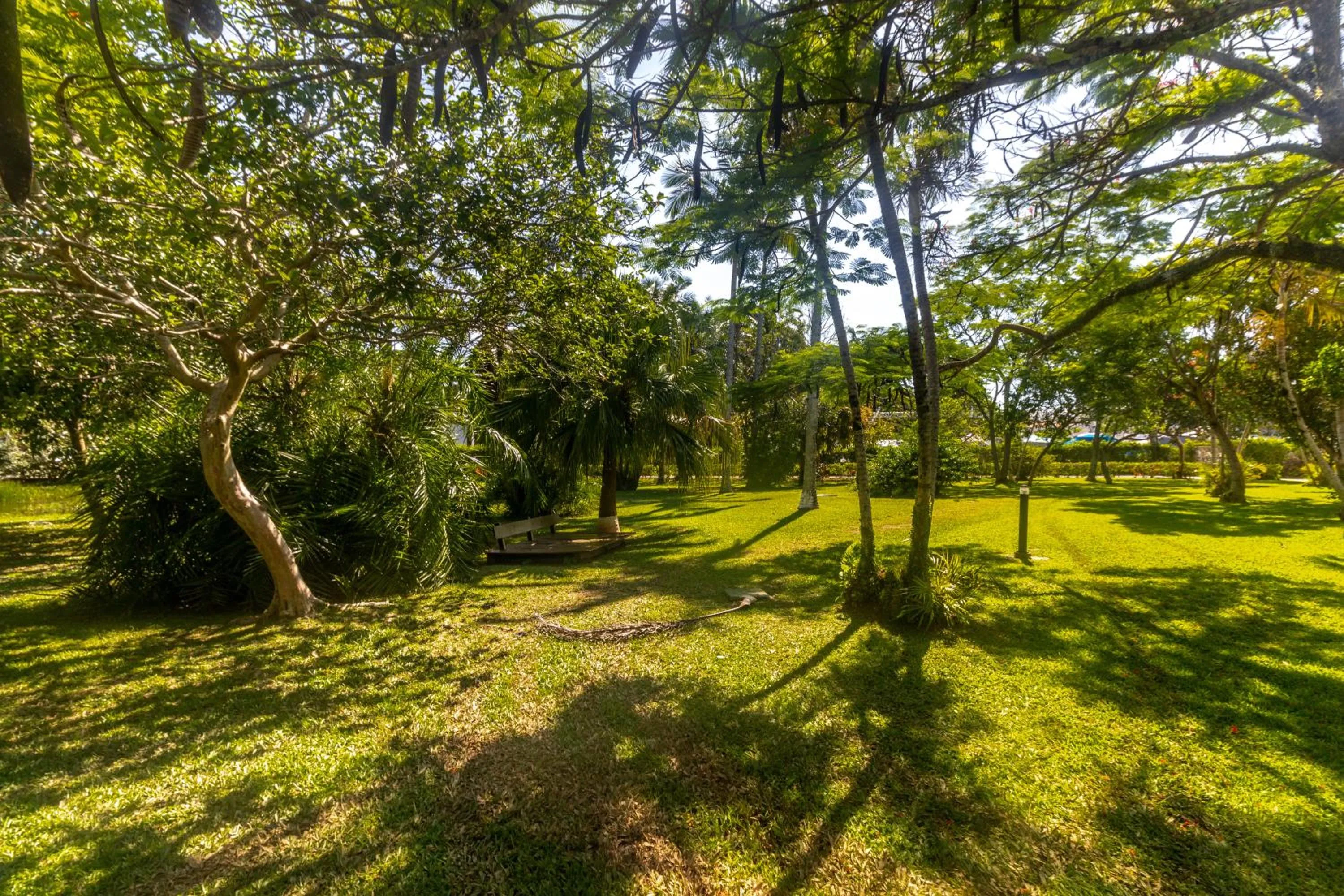 Garden in Hotel Porto Sol Beach