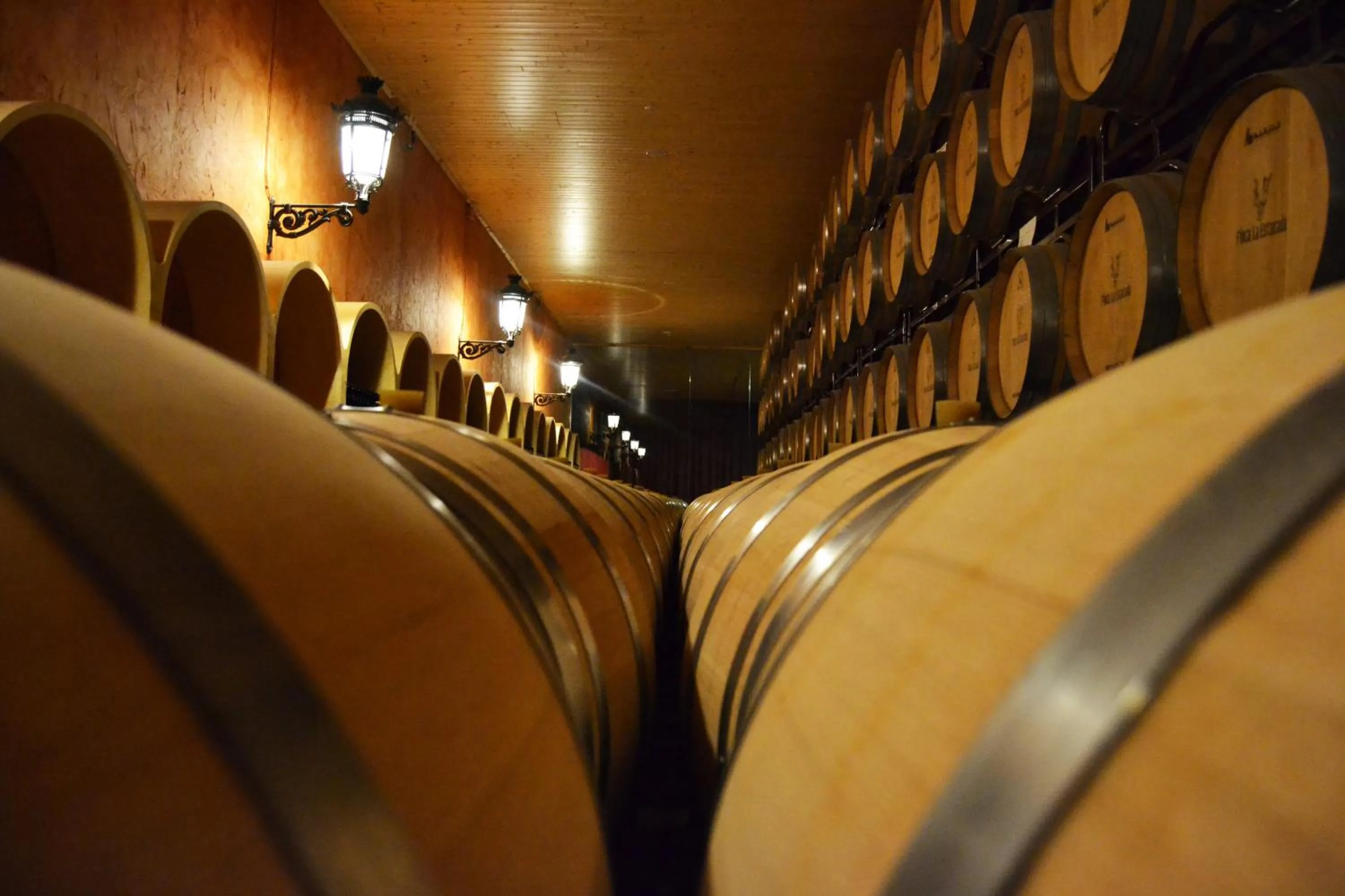 Nearby landmark in Complejo Enoturístico Finca La Estacada