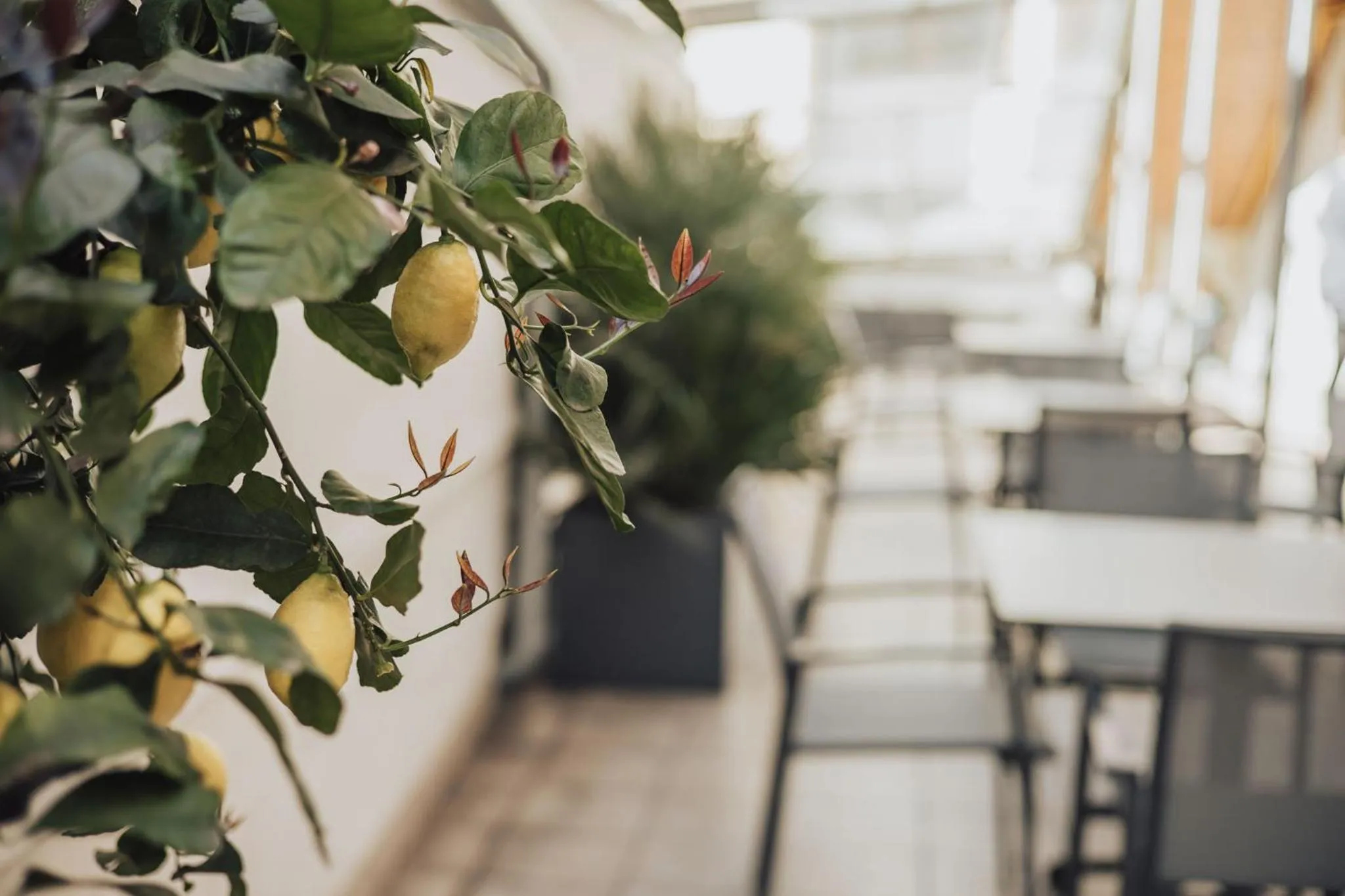 Decorative detail in Feichter Hotel & Bistro